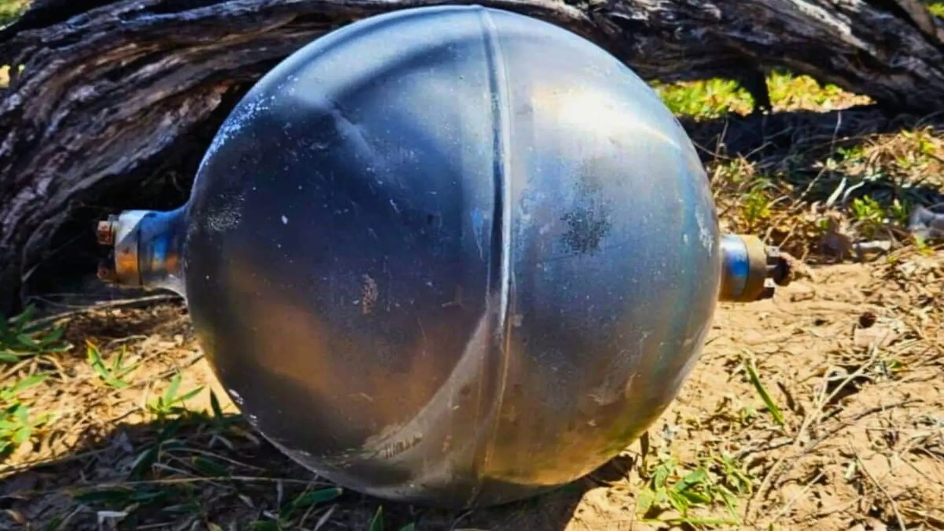 Strange Black Orbs Washed Up On A Local Beach Scaled