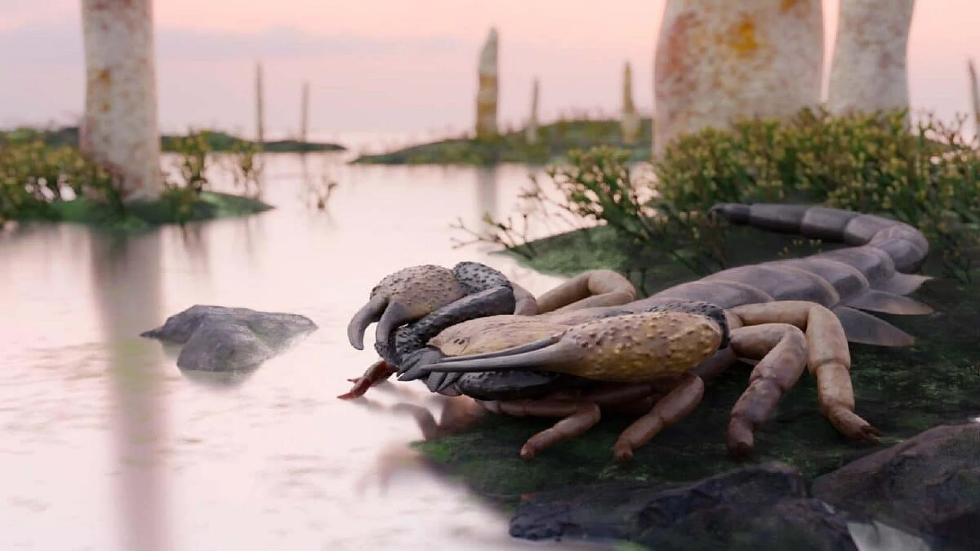 Scientists Identified A Fossil Giant Scorpion That Reached 3 Feet Long And Roamed Britain 415 Million Years Before Humans Existed Scaled