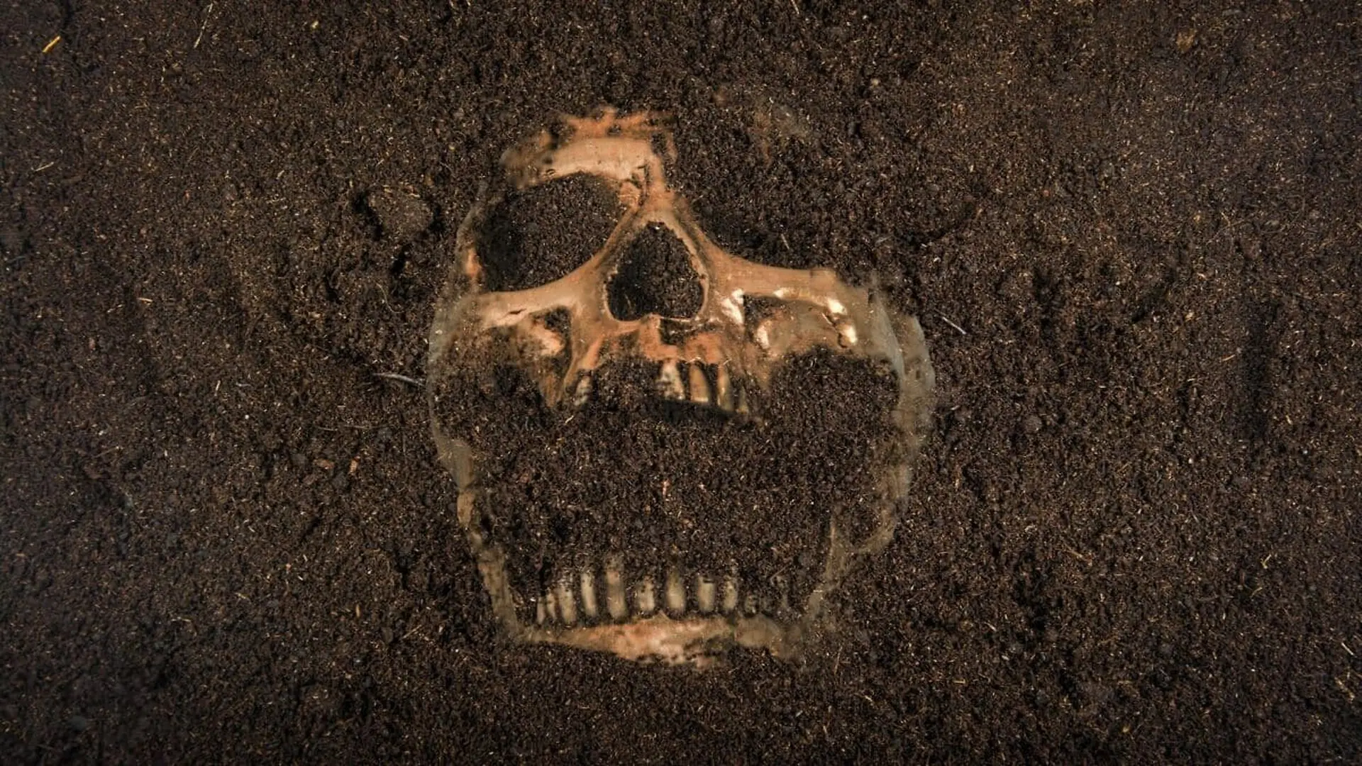 Archaeologists Found A Year Old Warrior Buried With Gold But Something Else Was Lying Nearby Scaled