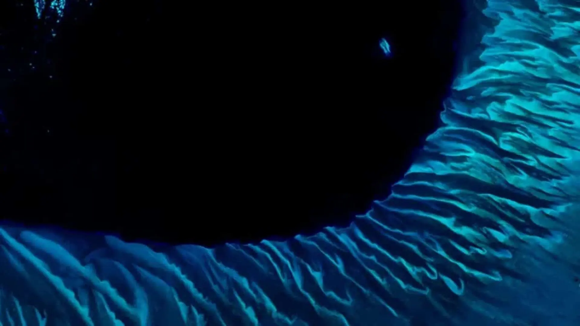 This Famous Nasa Satellite Image Of The Bahamas Captivated Scientists 20 Years Ago And It Still Looks Almost The Same Scaled