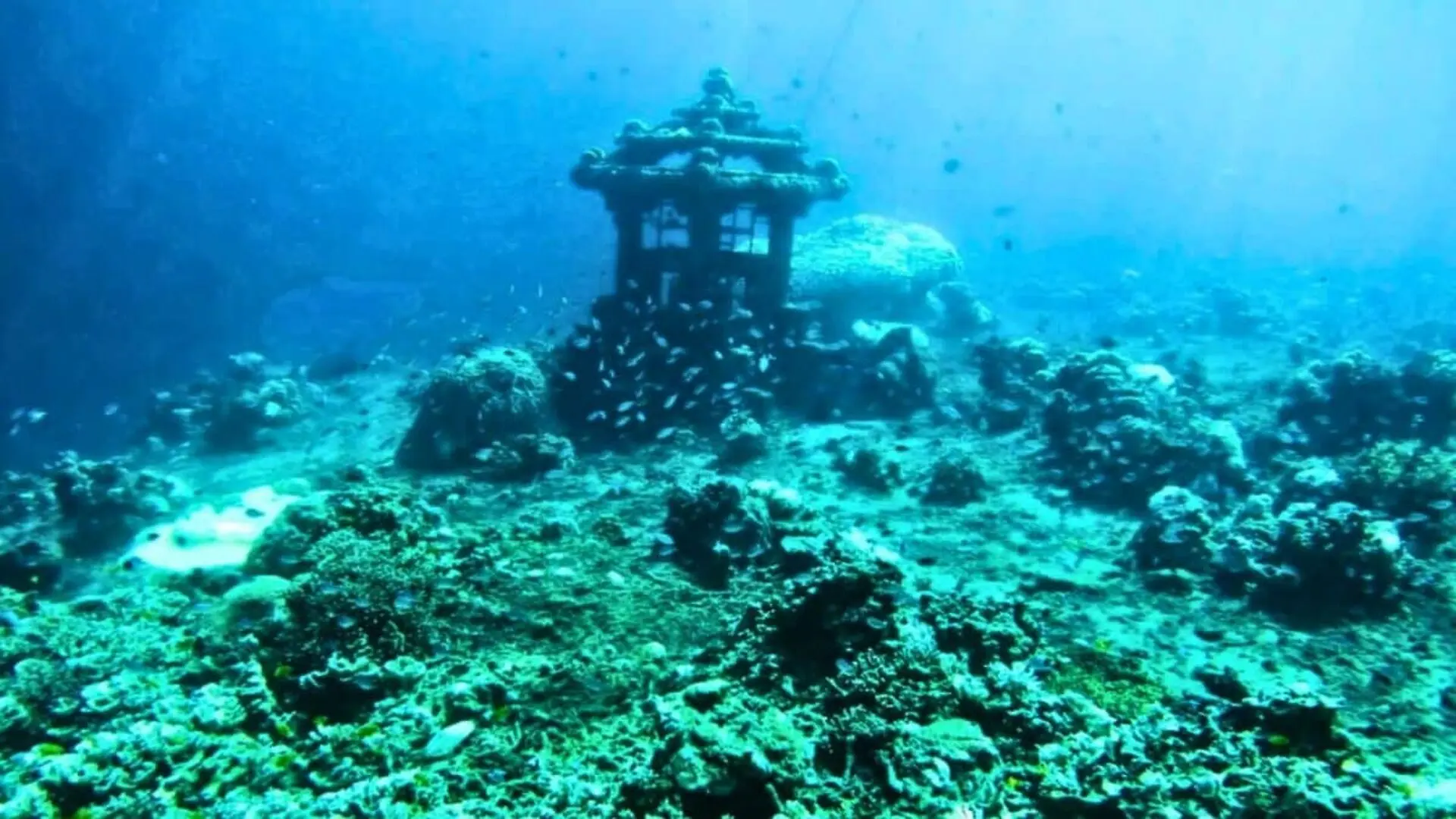 A Lost Java Plain Reveal Life Before The Sea Covered The Land Scaled