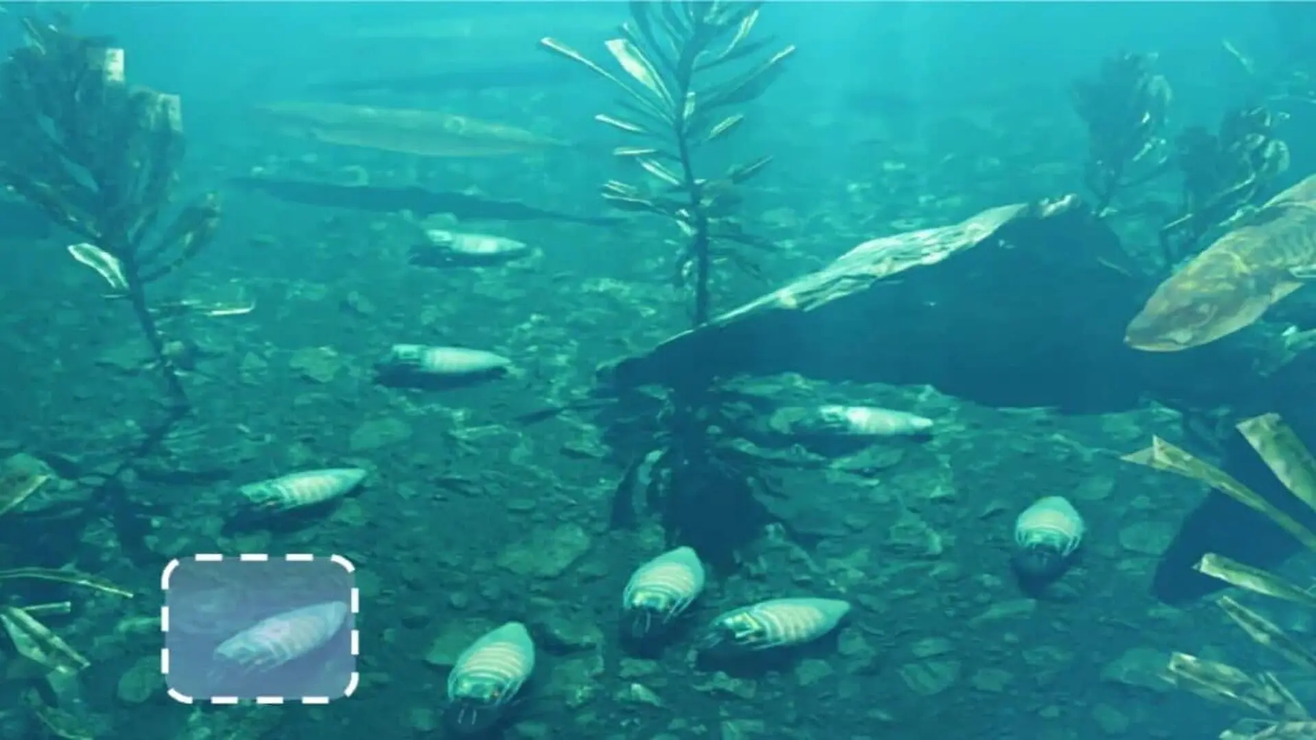 Scientists Turn Giant Cockroaches Into Underwater Cyborg That Can Stay Submerged For Three Hours Scaled
