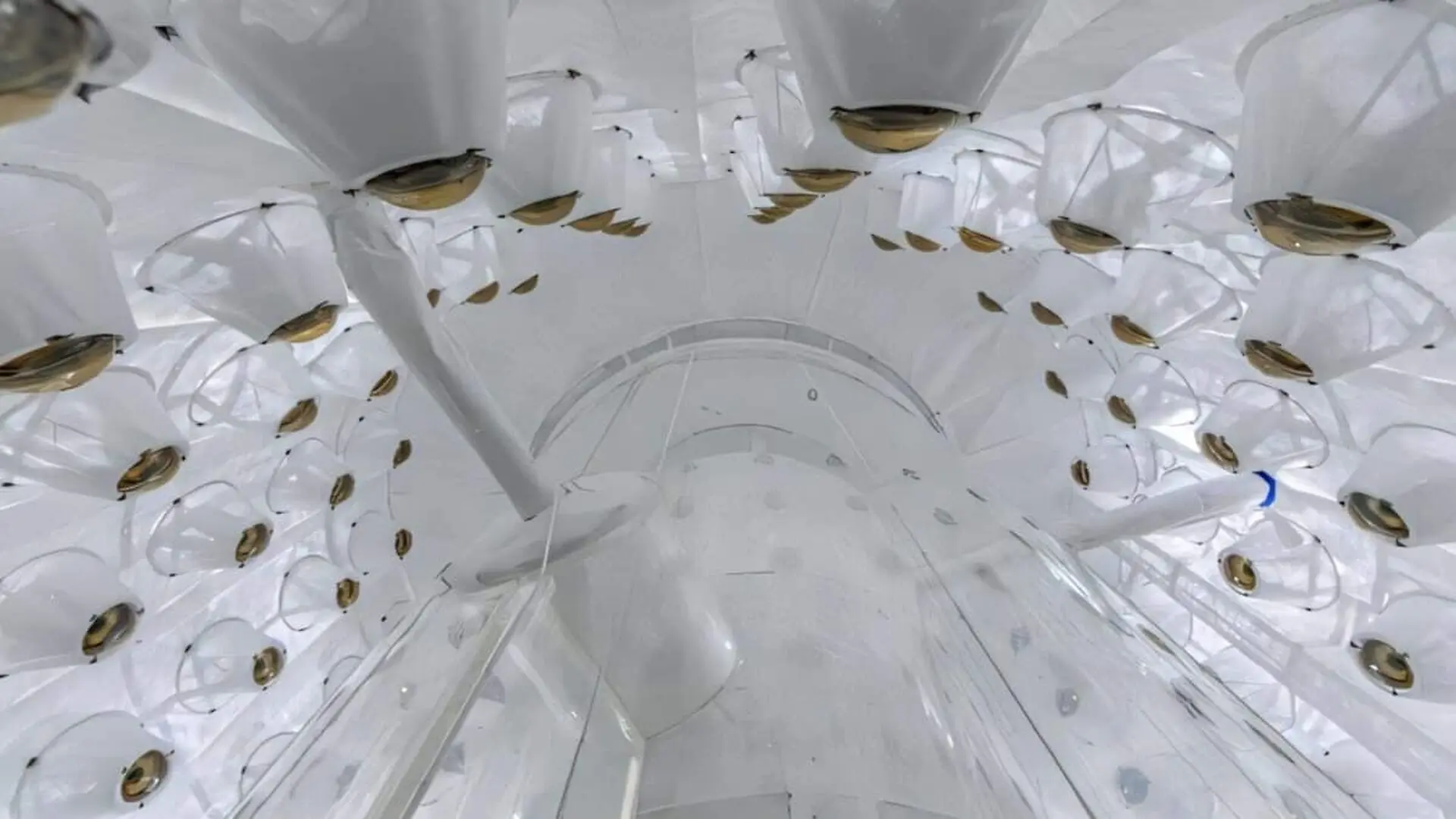 A Hidden Particle May Have Finally Revealed Dark Matters Secret Inside This Underground Detector Scaled