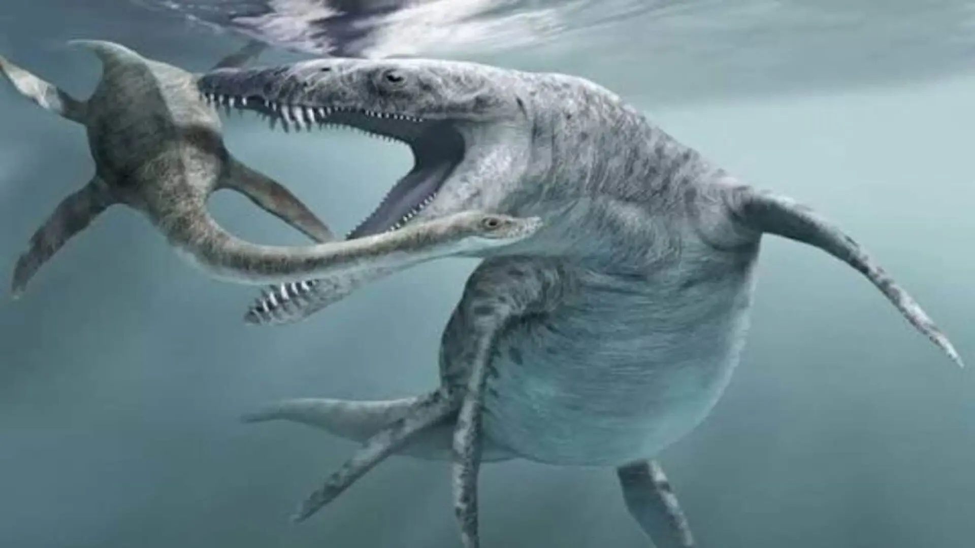 With New Fossil Analysis Researchers Finally Reveal The Famous 25 Meter Jurassic Predator Was Smaller Than We Thought Scaled