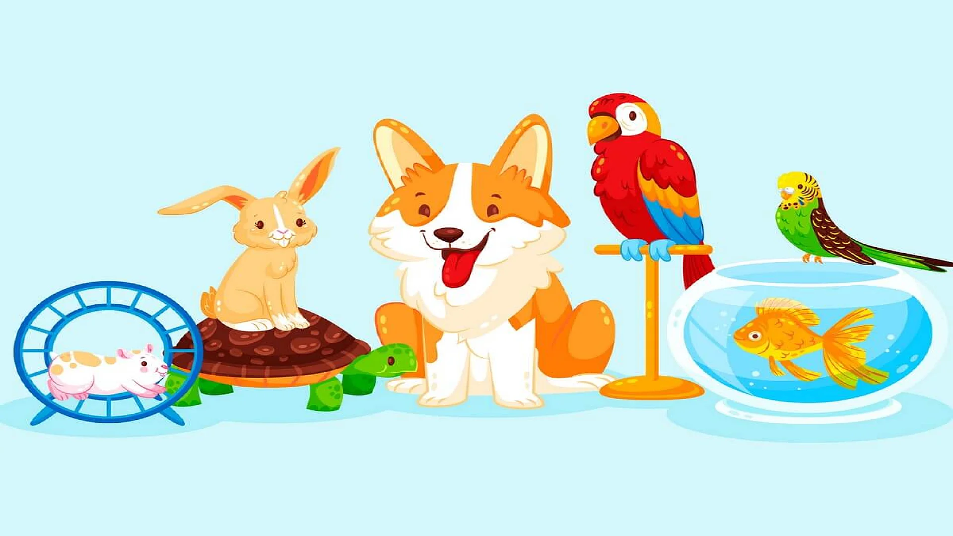 Different Cute Pets