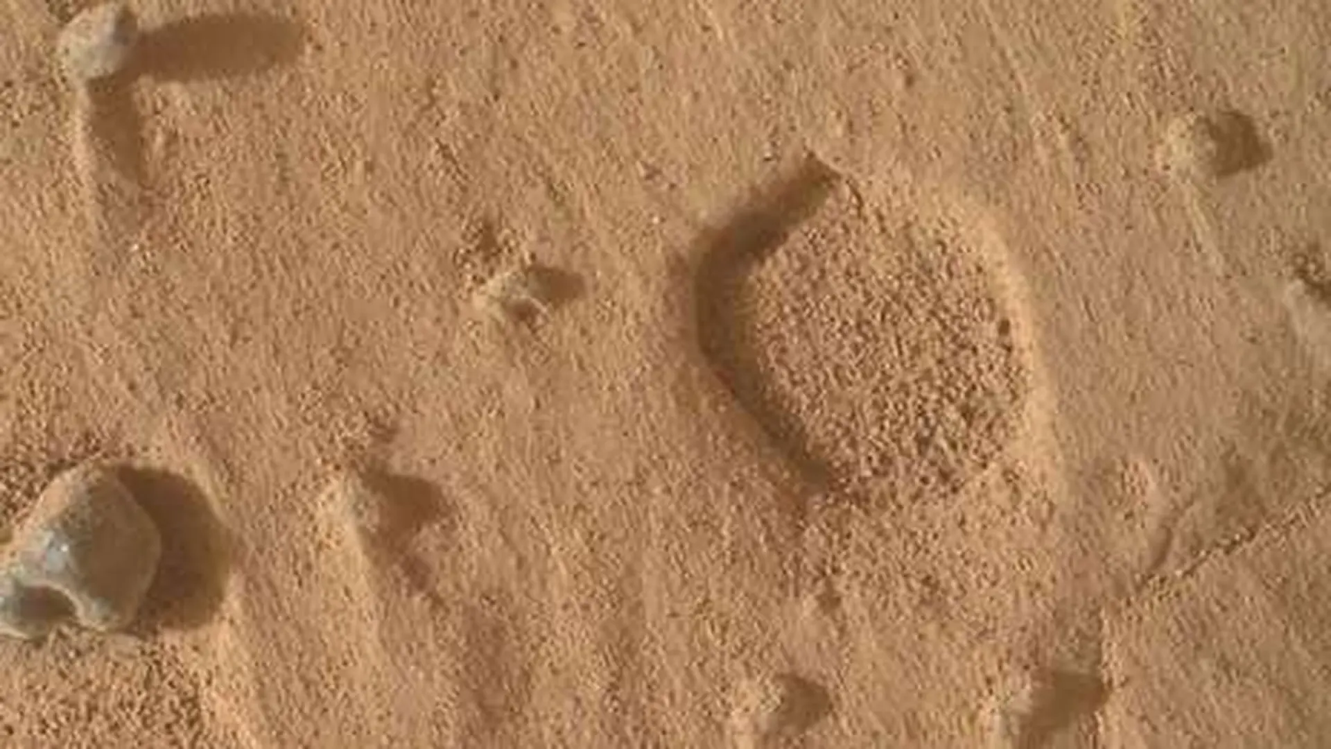 Archaeologists Have Discovered Hundreds Of Mysterious Stone Spheres In Costa Ricas Jungle But What Were They Really Used For 1 Scaled 1