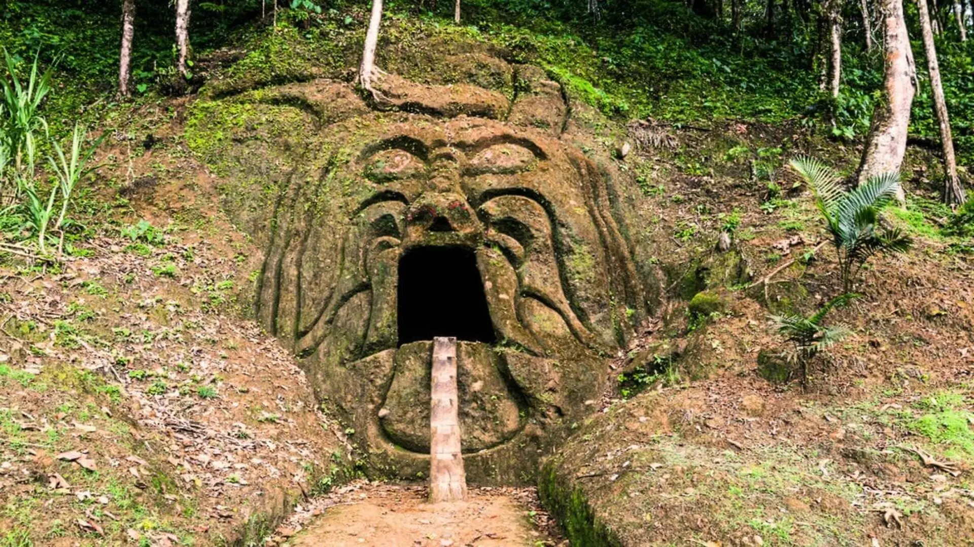 Ancient Amazon Earthworks Emerge From The Forest Scaled