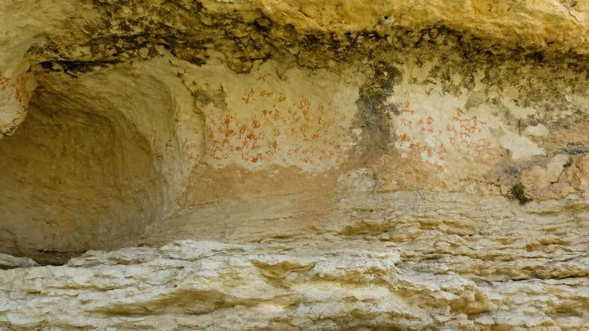 Scientists Just Found A Prehistoric Cave Covered With Nearly 100 Ancient Paintings And They Say Its Unlike Most Rock Art Ever Discovered Scaled