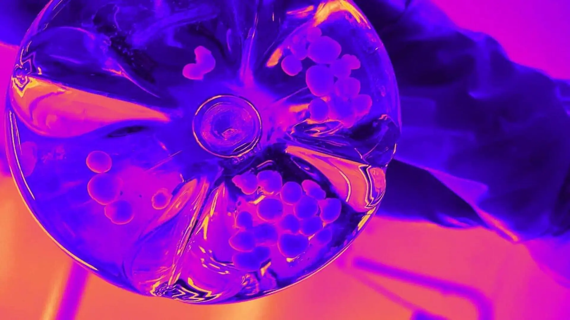 A Flask Containing Human Cerebral Organoids Scaled