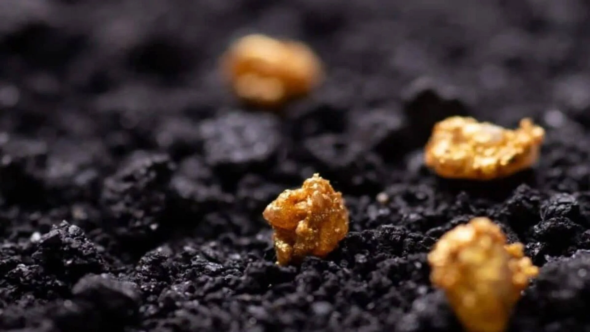 Homeowners Are Placing This Kitchen Ingredient Around Their Gardens For One Surprising Reason And Ants Hate It Scaled