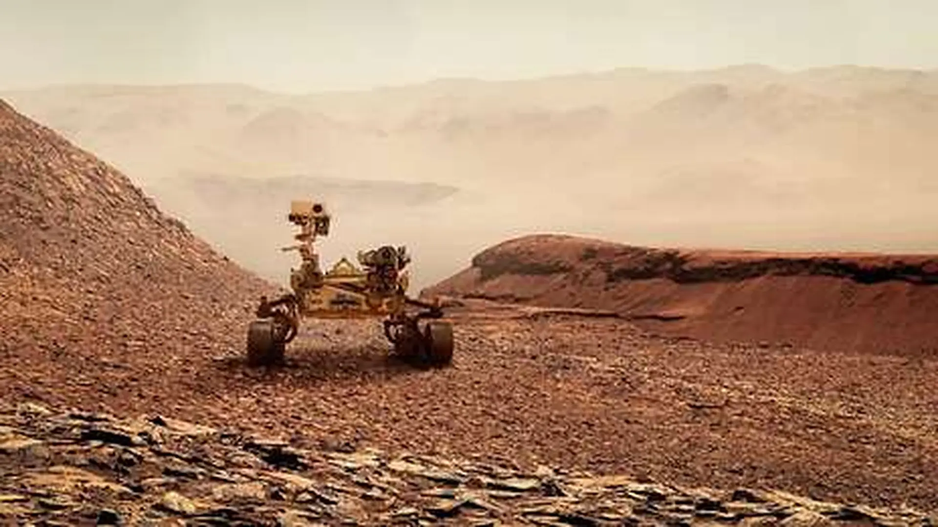 These Pale Mars Rocks Looked Ordinary Until Perseverance Revealed What Was Hiding Inside Scaled