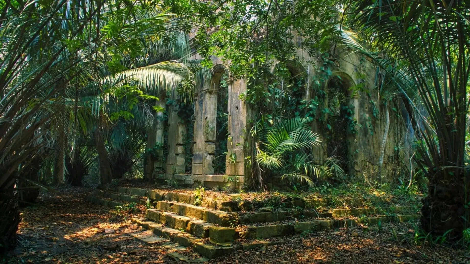 Archaeologists Discover A Completely Intact Maya City Hidden Beneath Mexicos Jungle For More Than Years Scaled