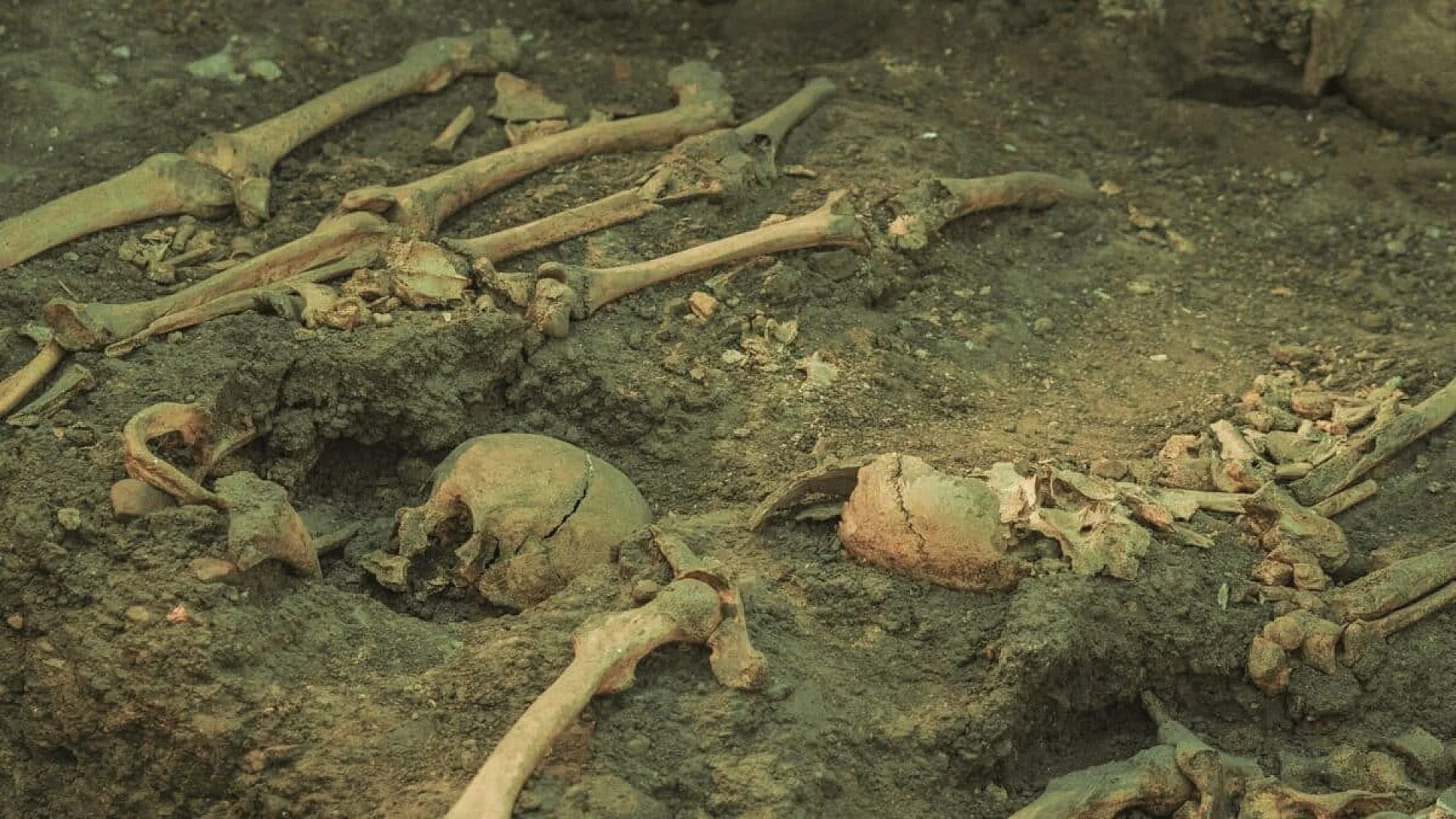 Hidden In The Mountains Of Colombia Scientists Have Found Year Old Human Remains That Doesnt Match Any Known Population Scaled
