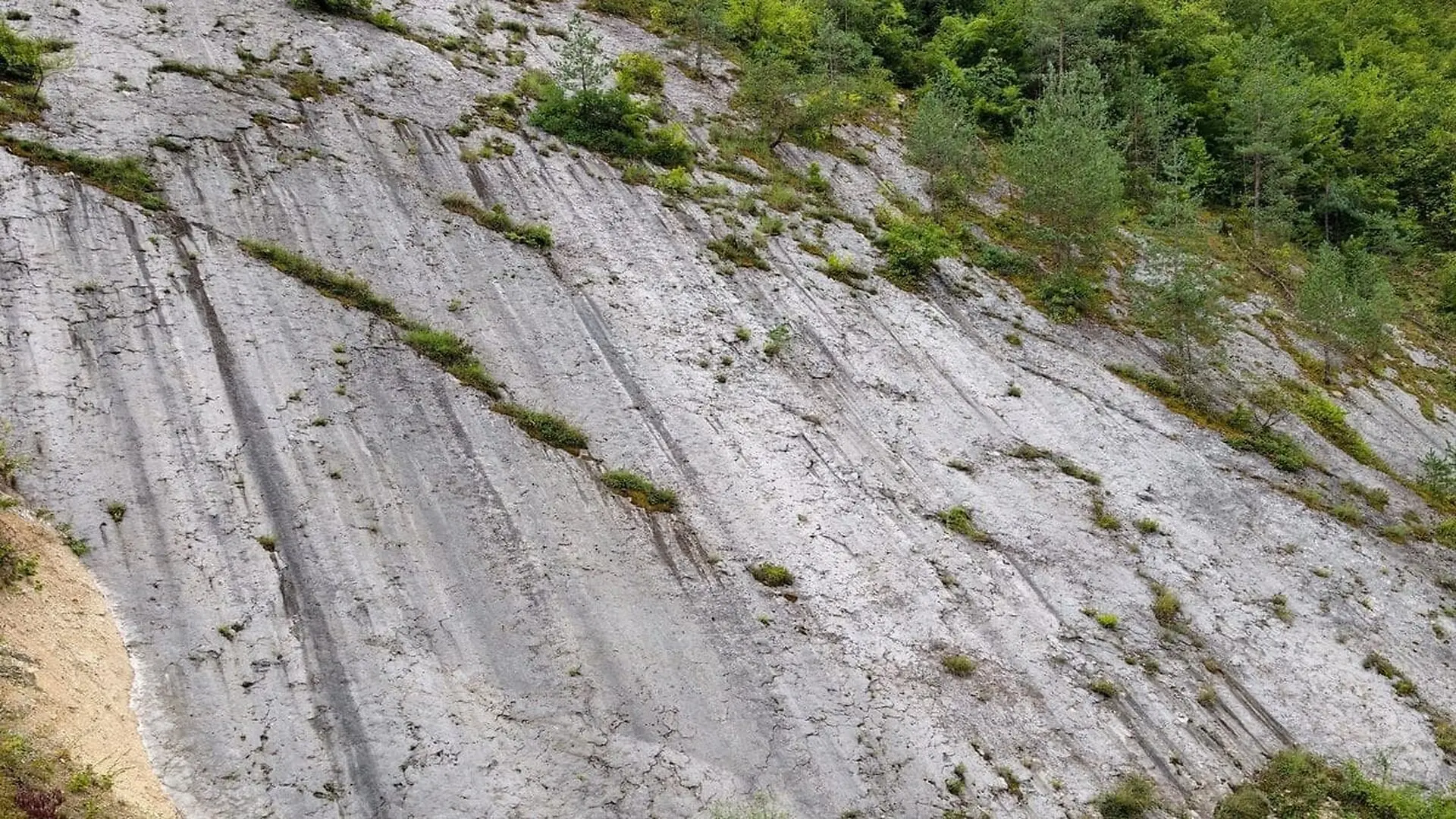 Only Reachable By Helicopter This Remote Canadian Delta Just Revealed Dinosaur Tracks From An Era Almost Completely Erased From Hismay Have Found A Hidden Signal From The Universes First Black H Scaled 1