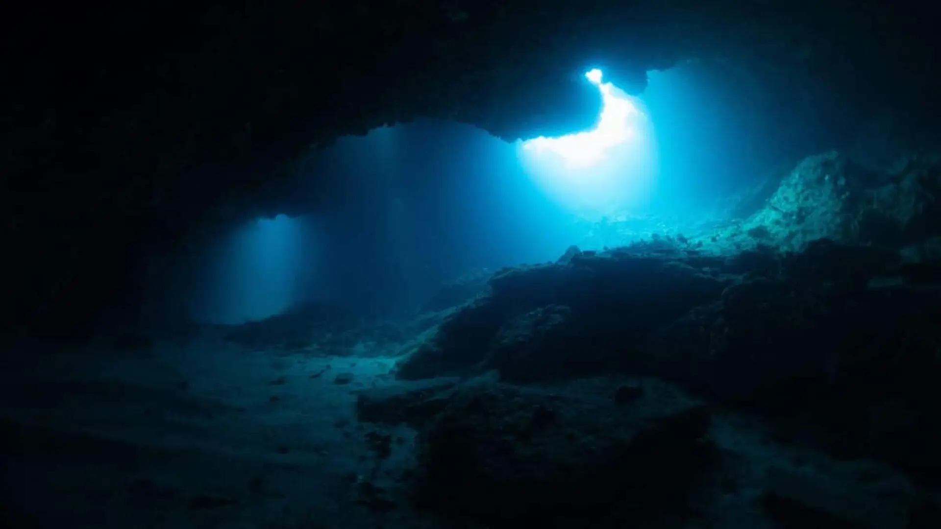 Deep Inside A Famous Cave Scientists Discovered Fossils Of Two Ancient Sharks That Once Swam The Oceans 325 Million Years Ago Scaled