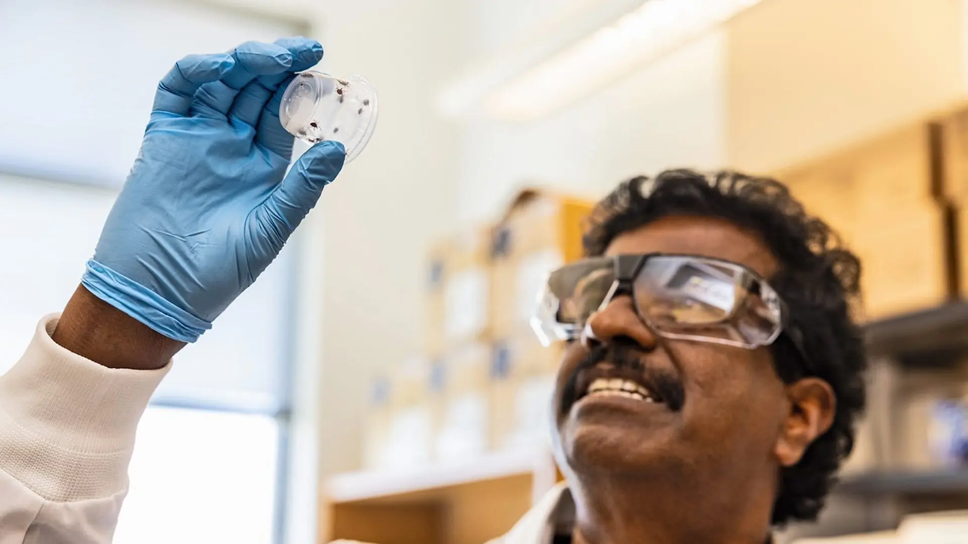 A man holds up a small container filled with ticks.