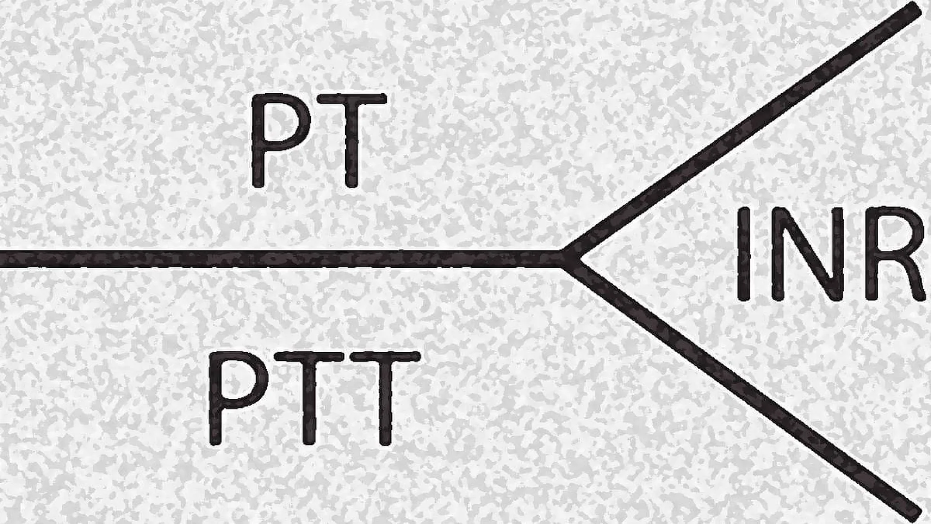 Activated Partial Thromboplastin Time (APTT), Partial Thromboplastin Time (PTT), Prothrombin Time (PT) and INR.