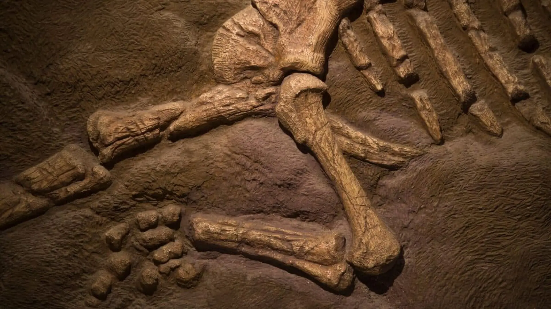 Paleontologists Name A New Dinosaur That Lived In Uruguay 86 To 72 Million Years Ago Based On Just Two Vertebrae Scaled