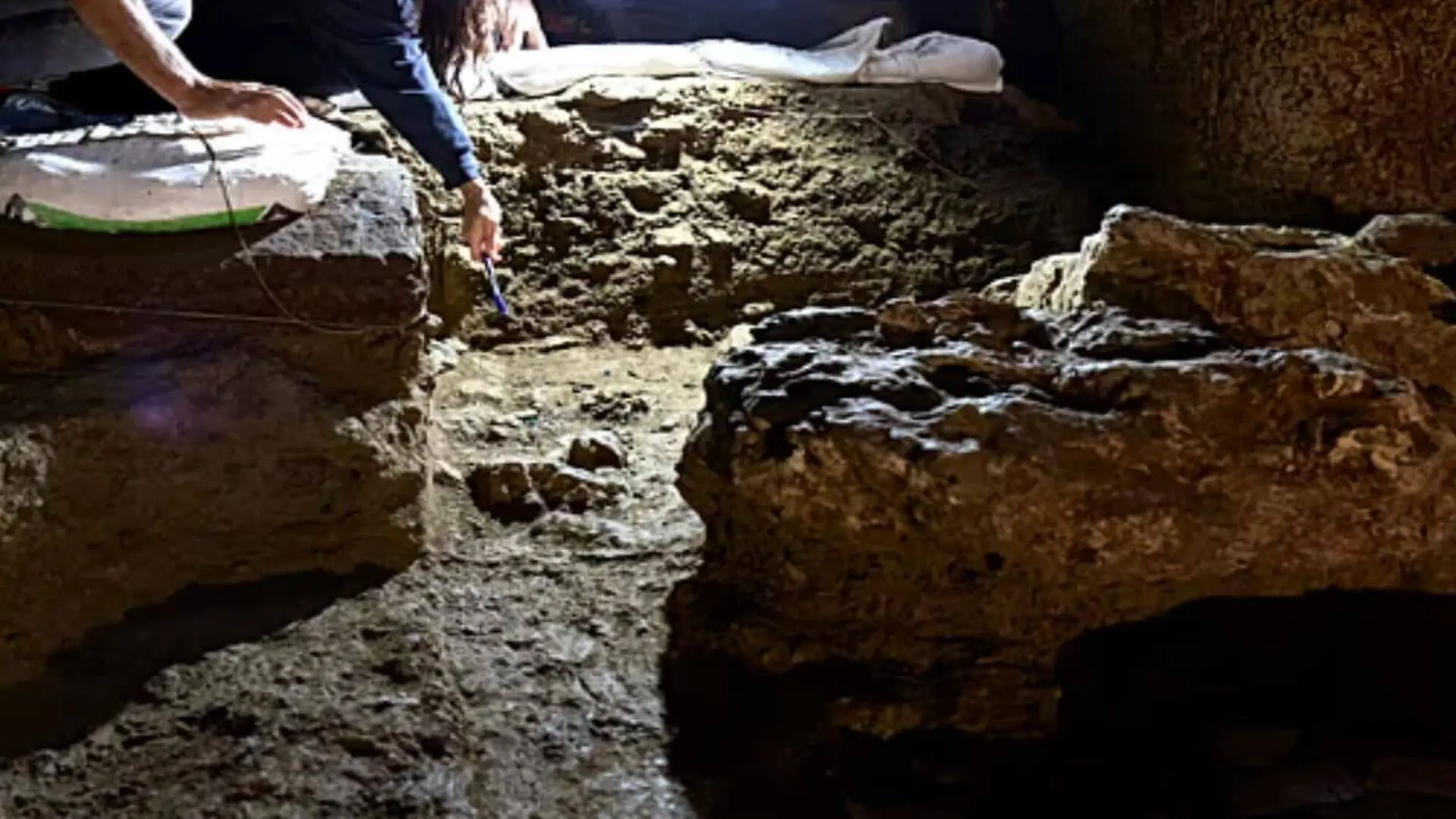 Six Bone Fragments Pulled From A Spanish Cave Just Revealed A Year Old Neanderthal No One Knew Was There Scaled 1