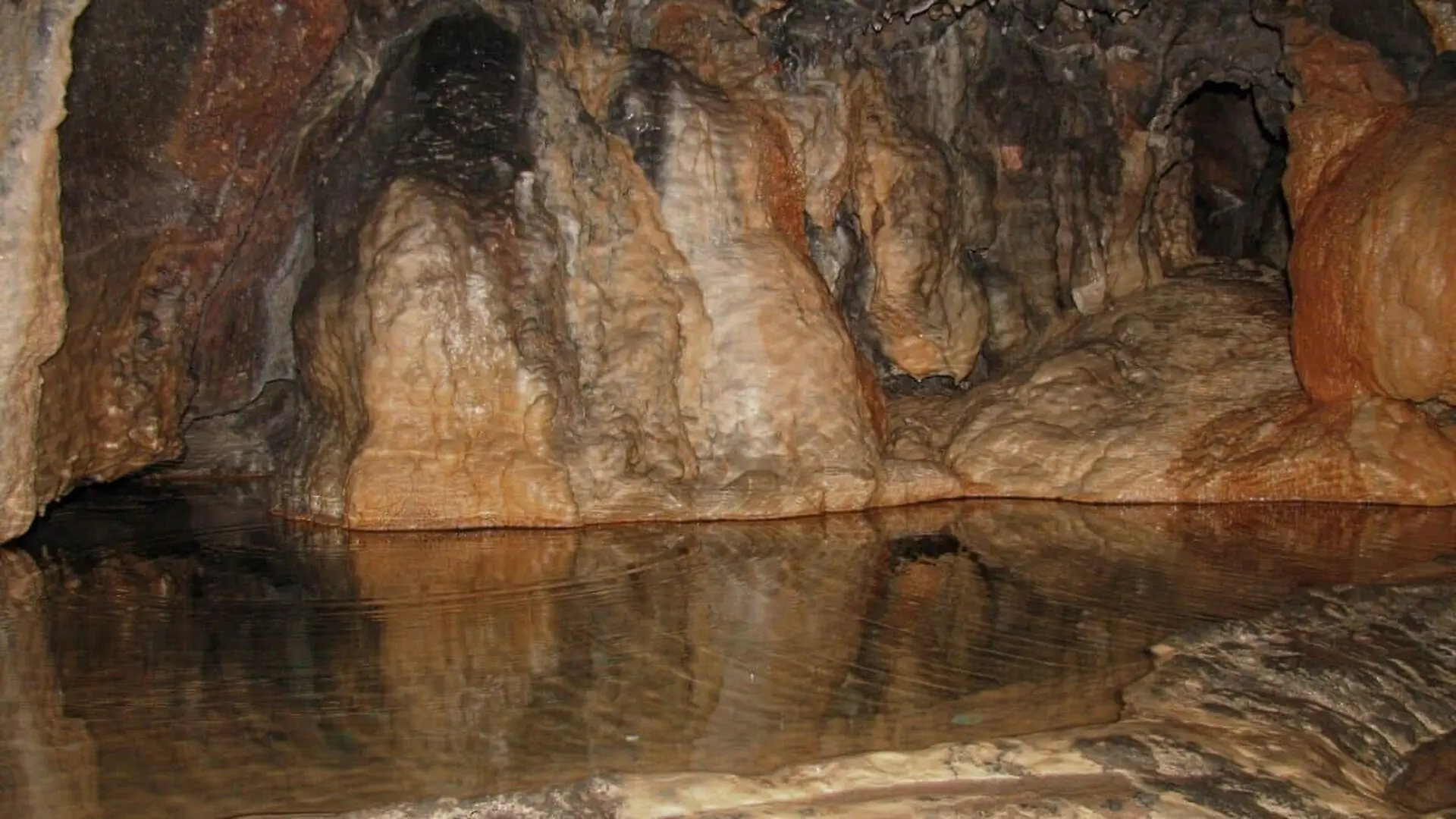 South Koreas Caves Just Revealed Four Species No One Had Ever Seen Each Trapped In A Single Underground World Scaled