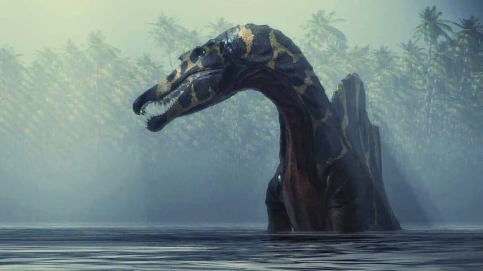 The Sahara Just Gave Up A New Spinosaurus Scaled