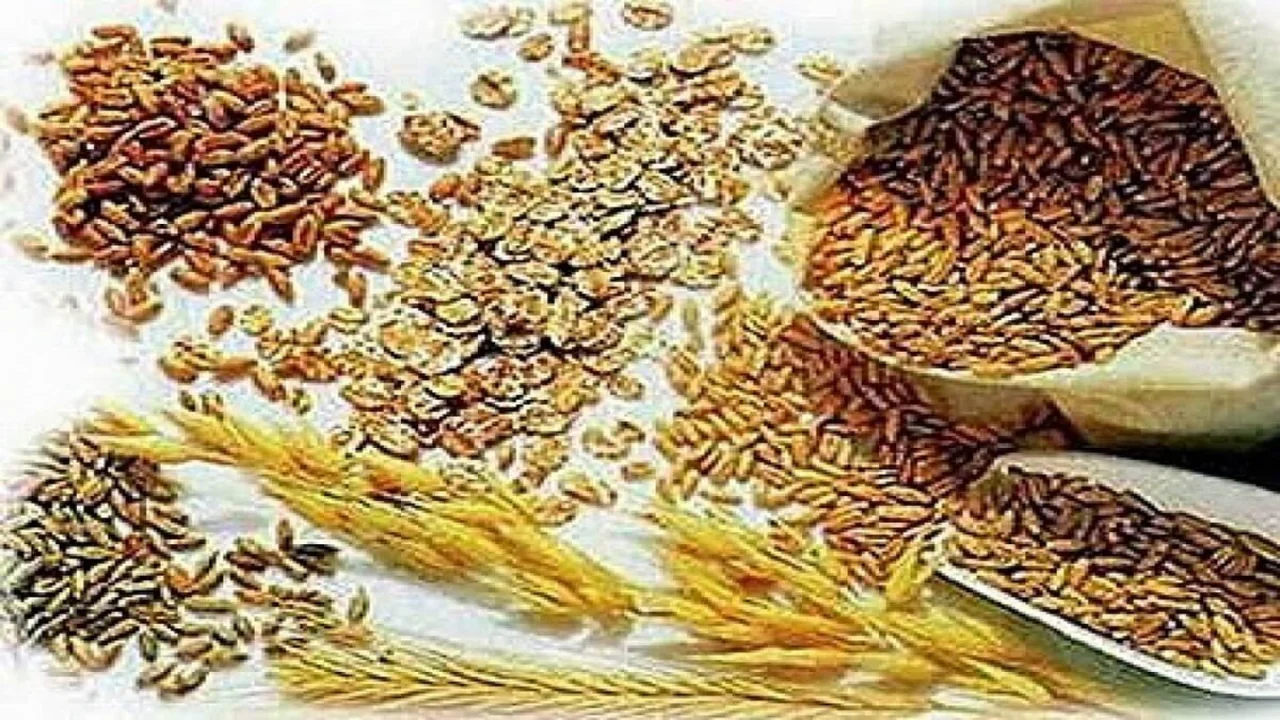 Differences Between Carbohydrates, Proteins and Fats (Lipids).