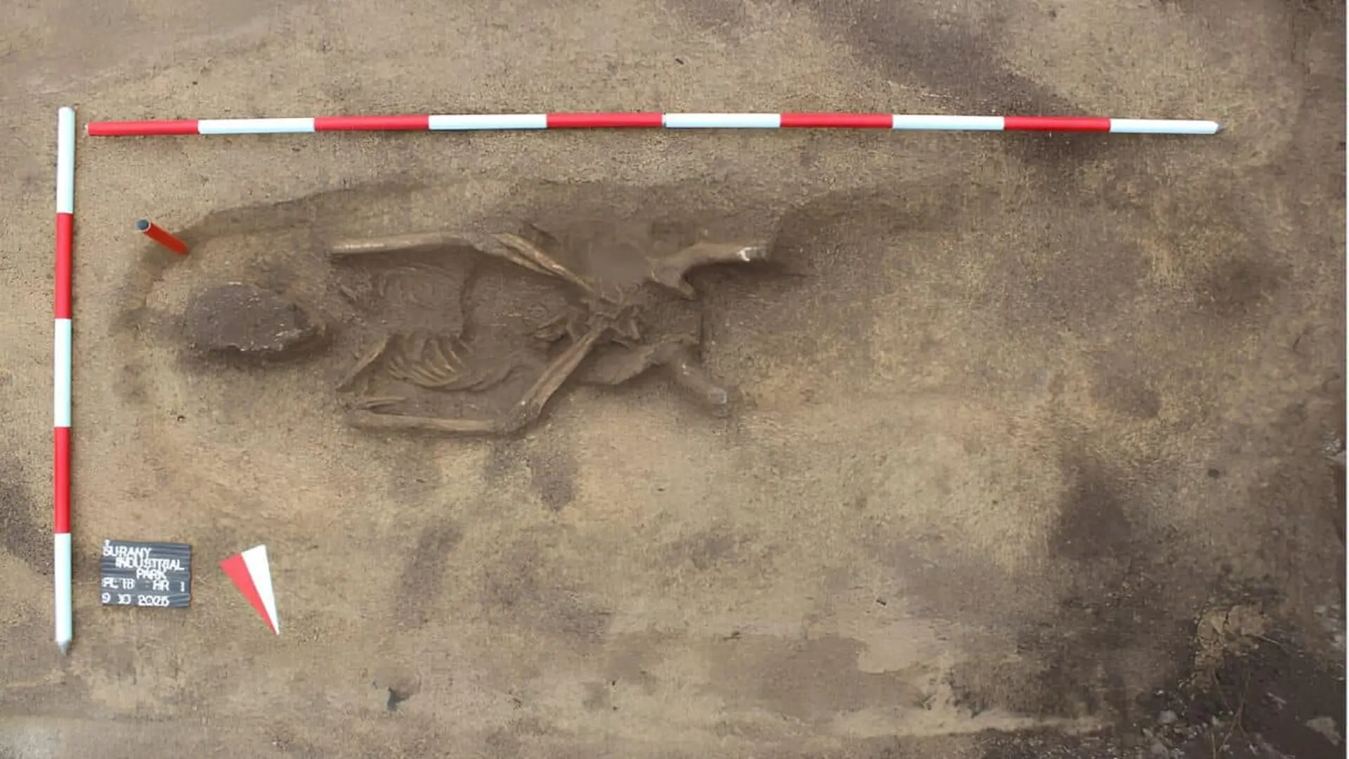 Probable Roman Soldier Lies Within A Former Storage Pit At The Roman Military Camp Near Surany Slovakia Scaled