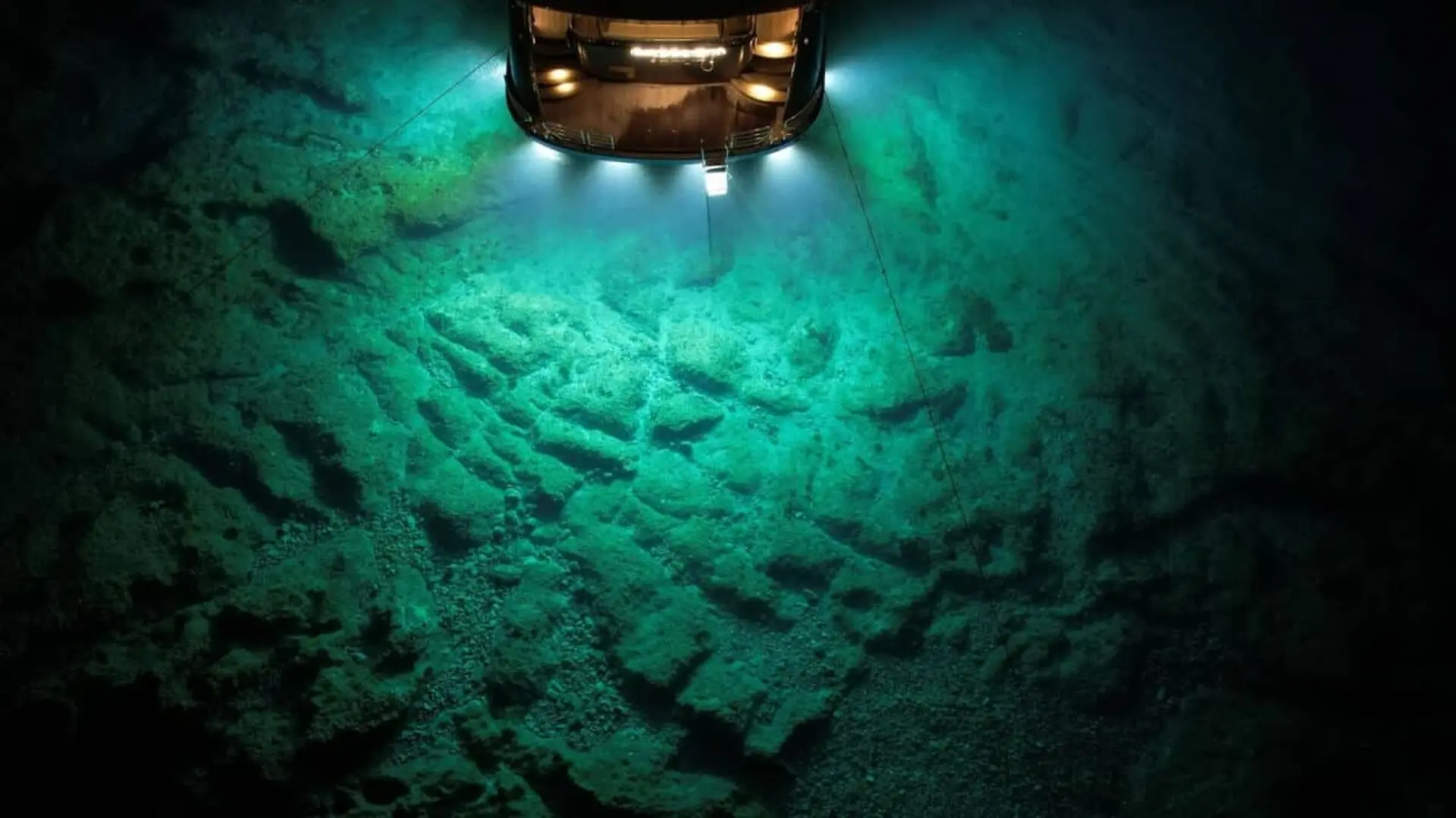 Scientists Sent A Submersible Feet Below The Indian Oceans Surface What They Found Left Them Astonished Scaled