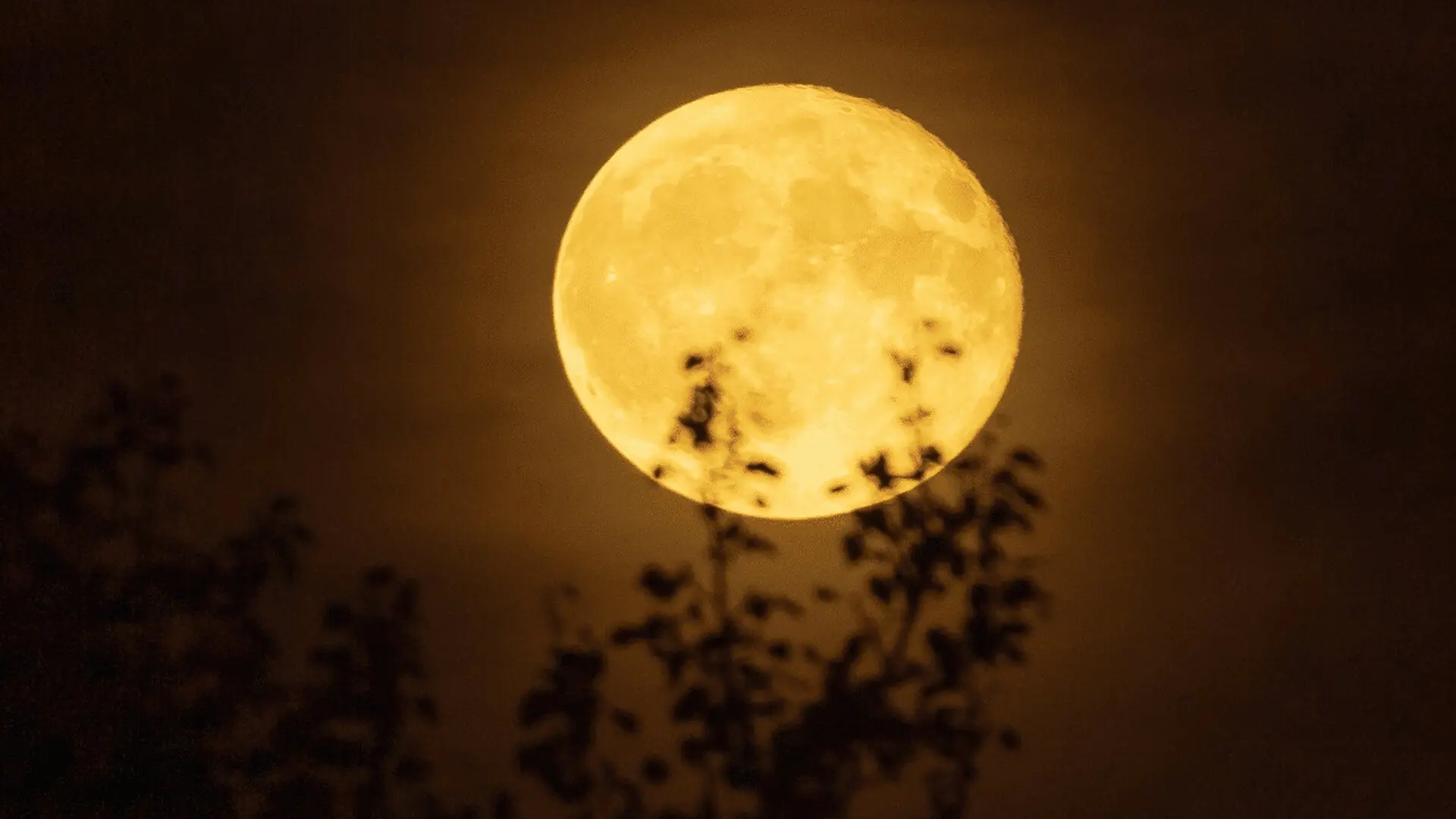 Harvest Moon When And Where To See Septembers Full Moon Scaled