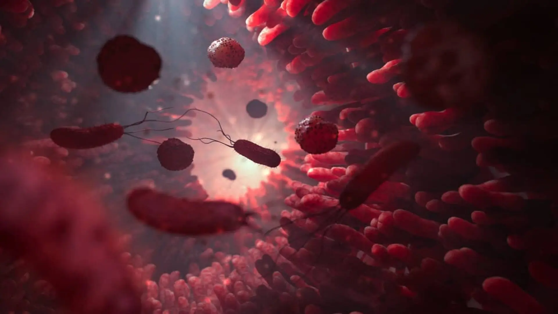 Intestinal Villi With Bacteria And Viruses In The Human Digestive System 3d Rendering Of Intestinal Microorganisms Scaled