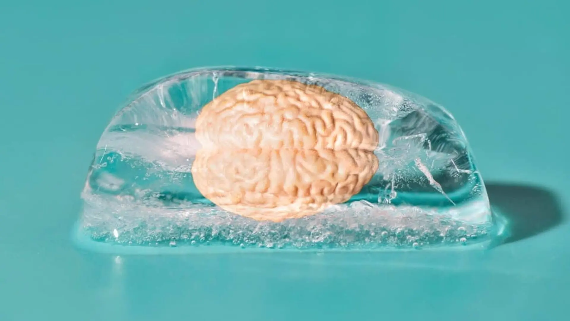 A Strange Chemical Reaction May Explain How The Human Brain Survives After Death Scaled