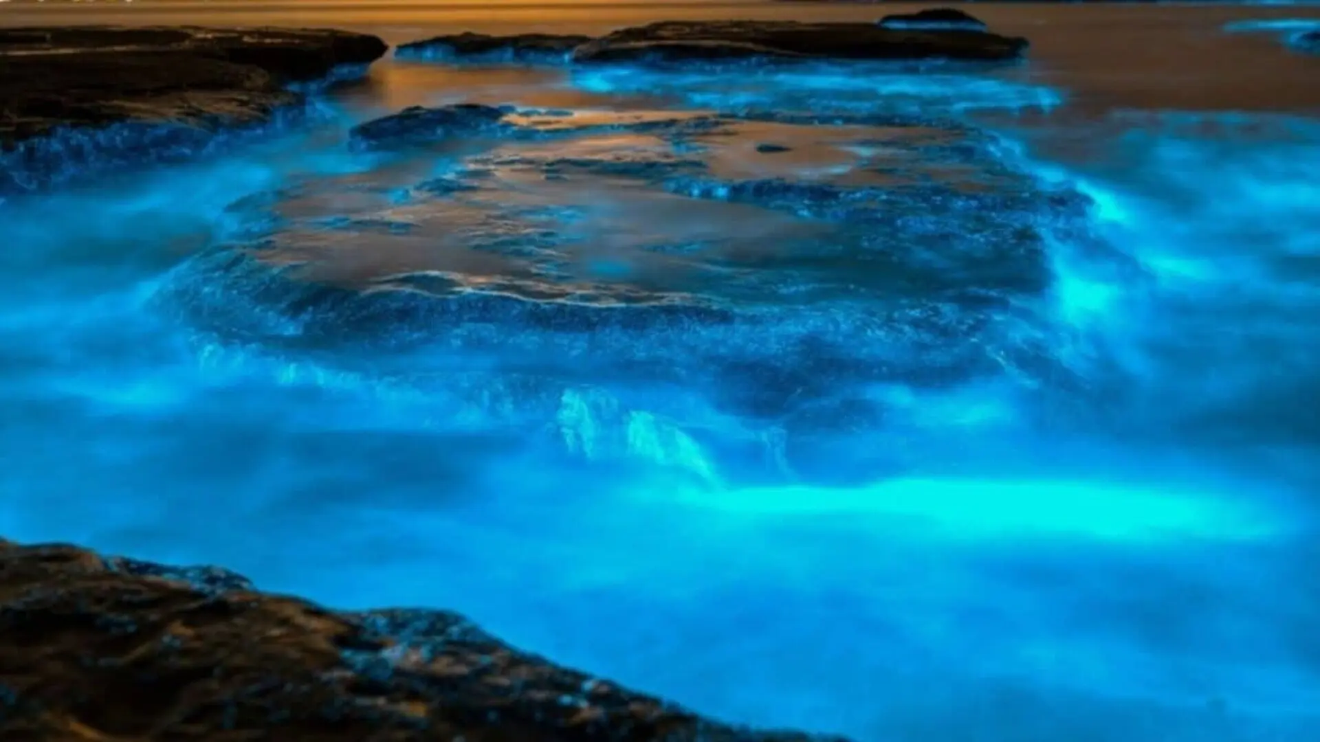 Nasa Satellites Spotted Something That Has Been Making The Ocean Glow For More Than 400 Years And Scientists Still Cant Explain It Scaled