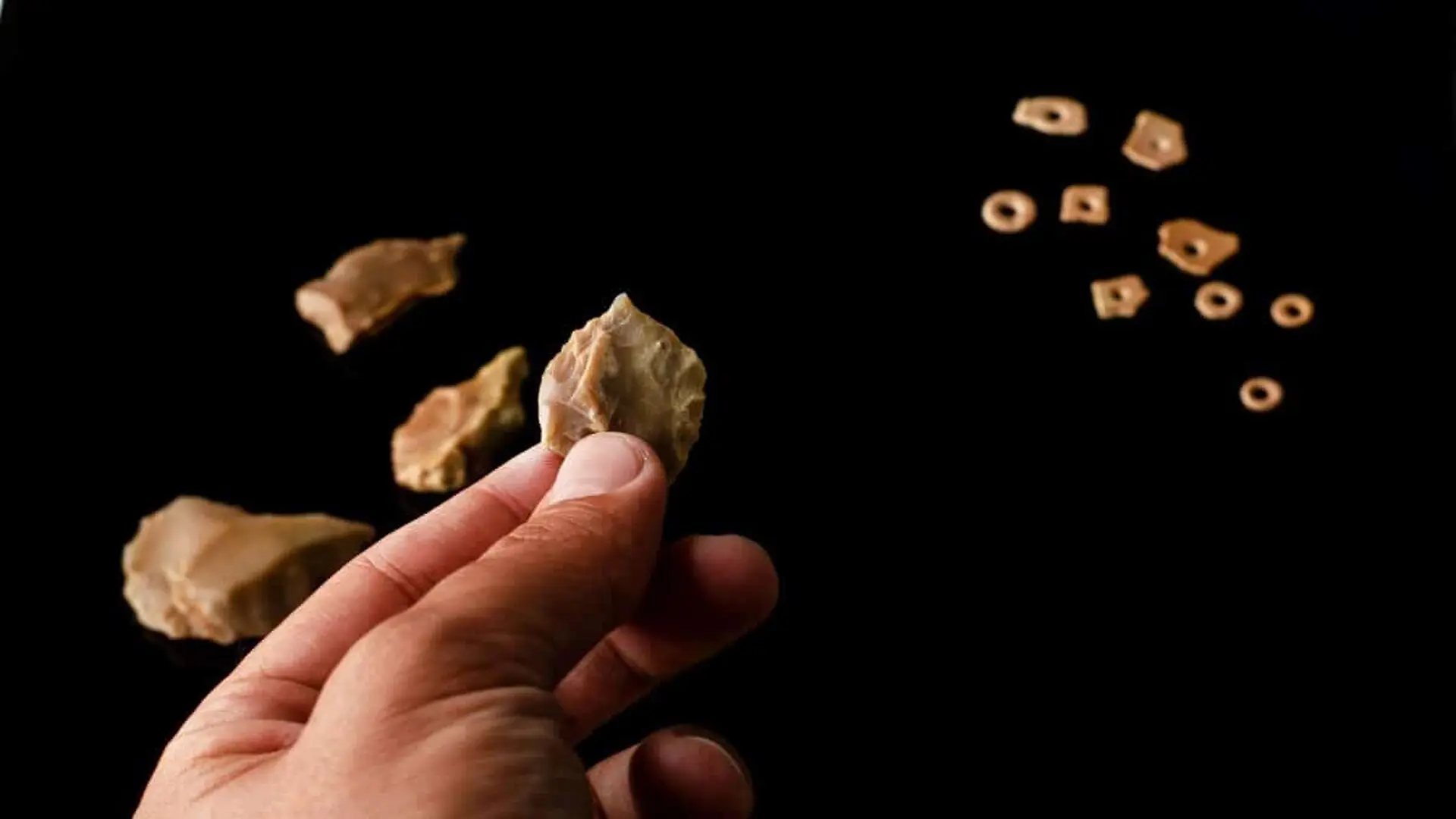 These 112 Ancient Fragments Reveal A Year Old Human Code Hidden Inside Tiny Ostrich Eggshell Pieces Scaled