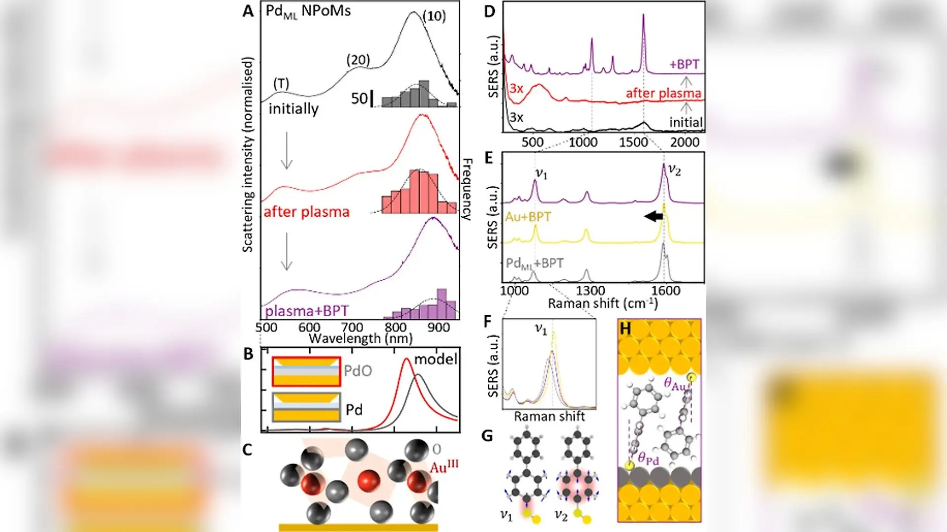 Optically Tracked Reversible Single-Atomic-Monolayer Redox in Plasmonic Nanocavities
