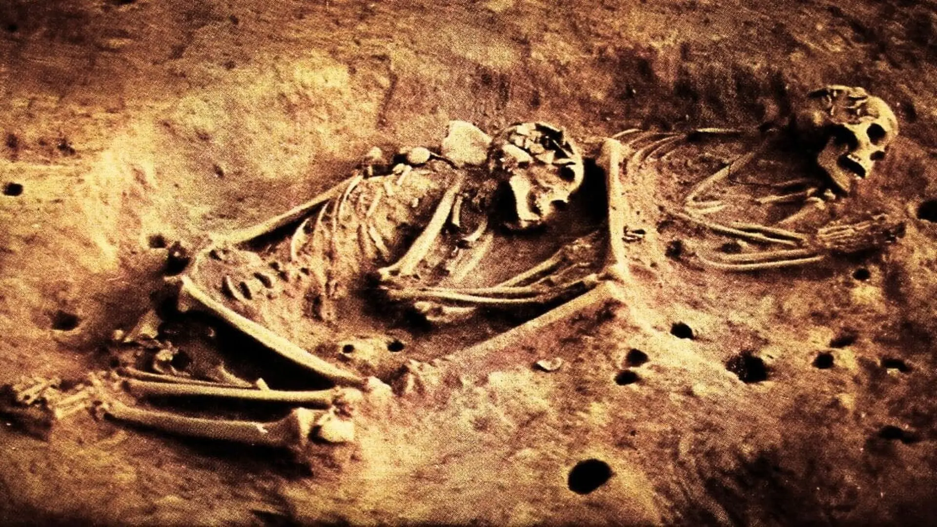 Researchers Could Not Find Their Lineage In Anyone Living Scaled