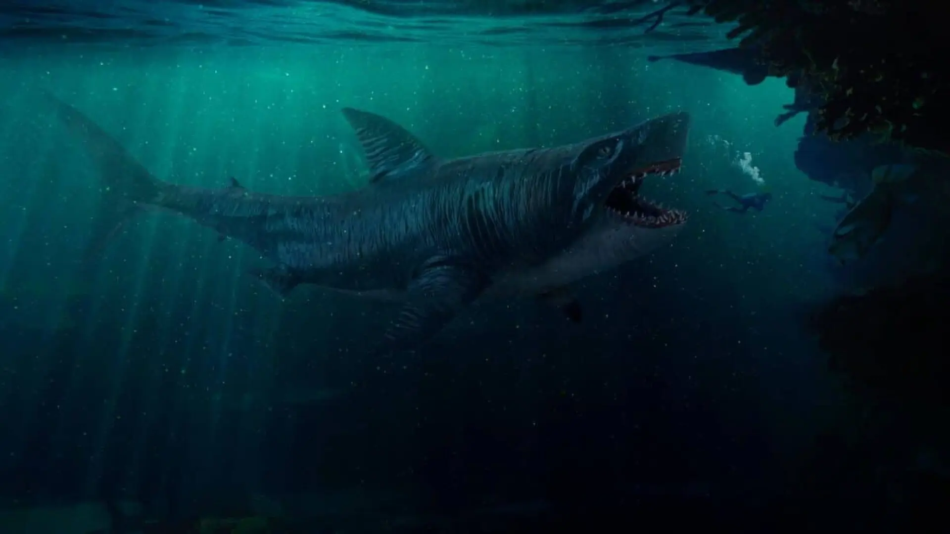 The Megalodon Fossil That Vanished In Has Been Found And It Changes The Size Debate Forever Scaled