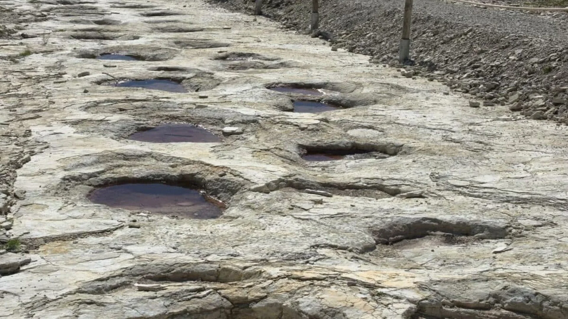 Scientists Have Just Uncovered The Worlds Longest Dinosaur Footprint Trail Still Well Preserved In French Rock Scaled
