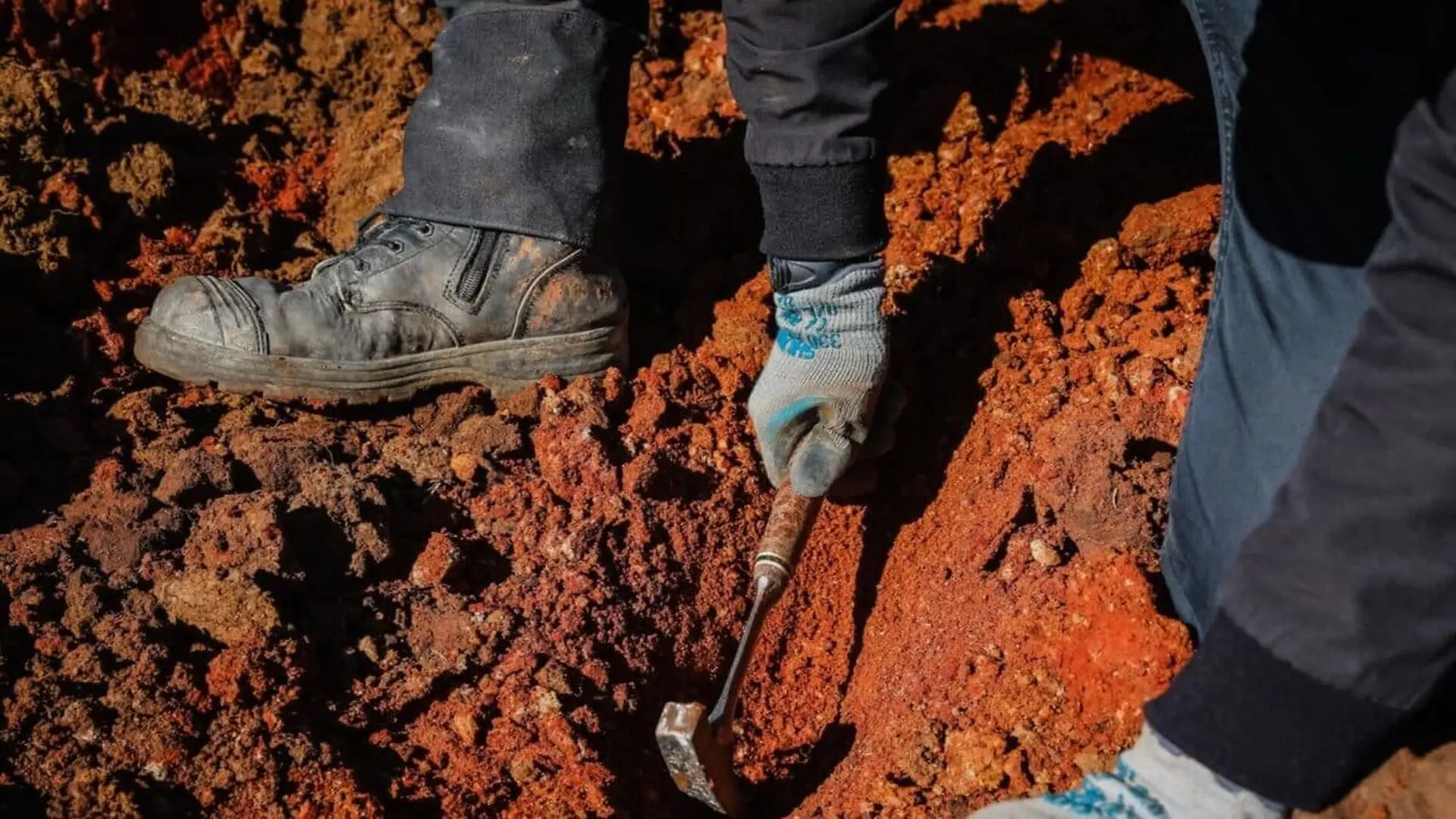 Hidden Under A Dry Australian Farm Scientists Found Perfectly Preserved Fossils From 16 Million Years Ago Scaled