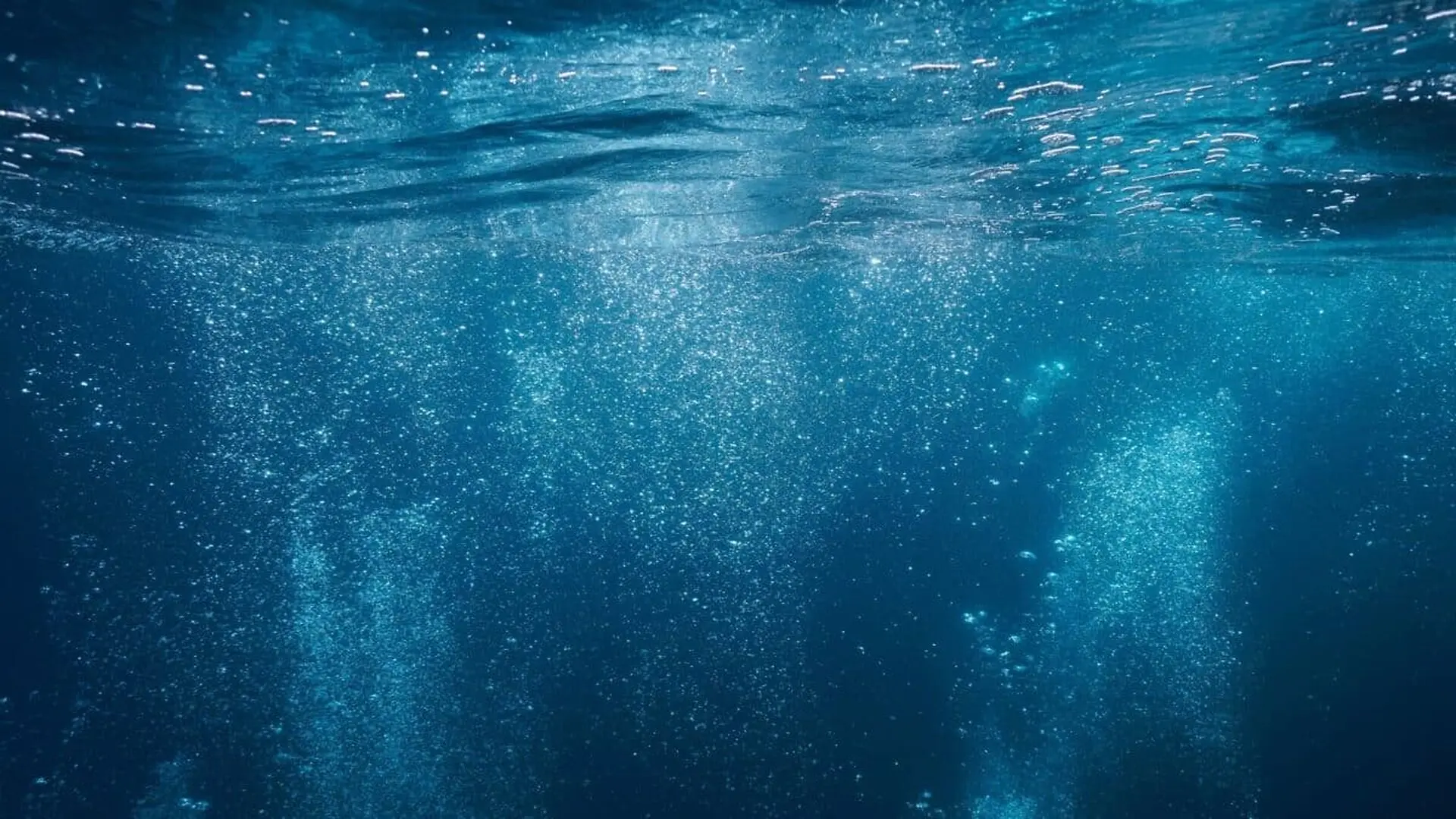 Air Bubbles Rise To The Surface Of The Water Underwater In The Sea Scaled