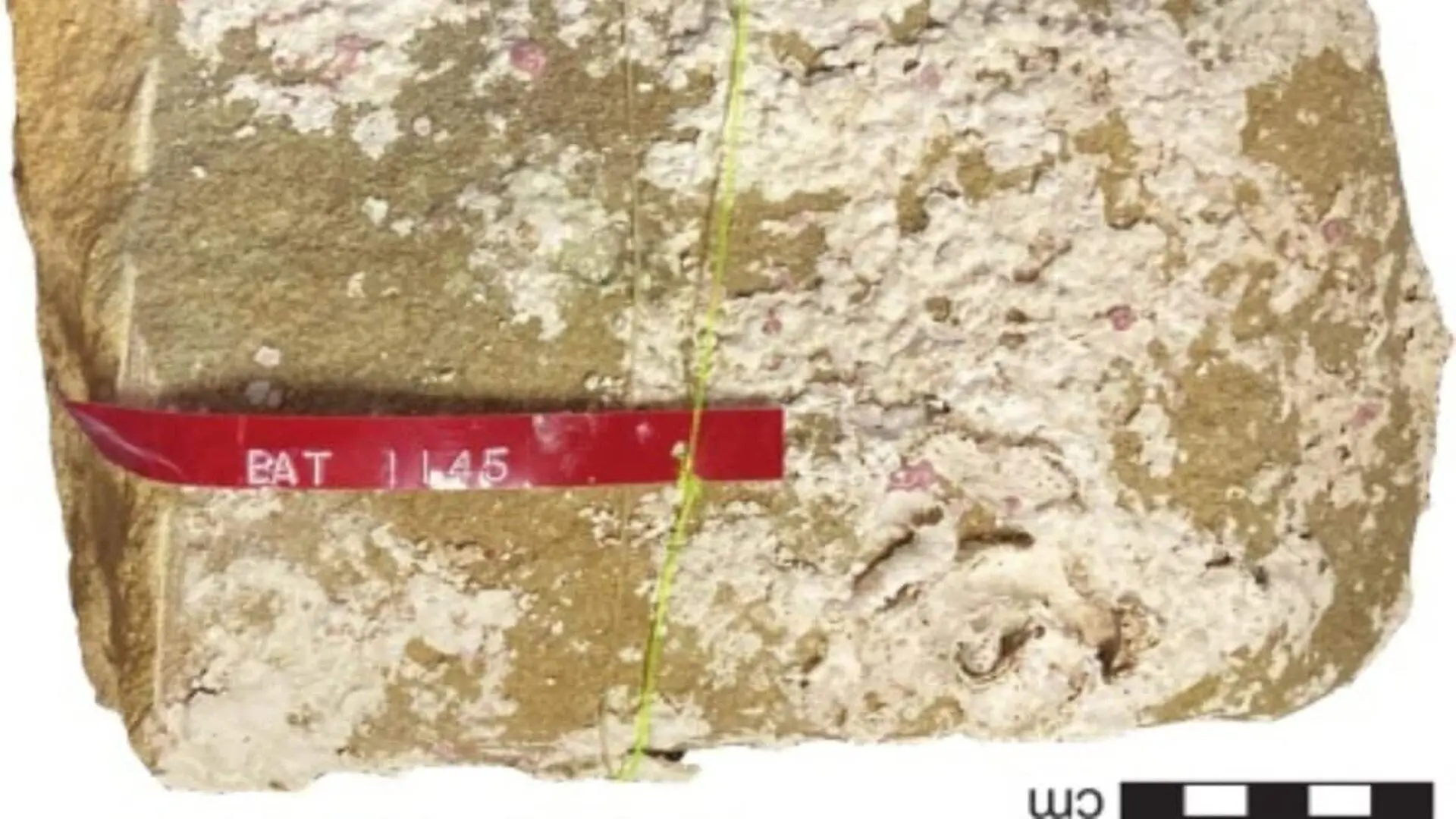 A 400 Year Old Sandstone Mystery Aboard Batavia Has Finally Been Cracked Scaled