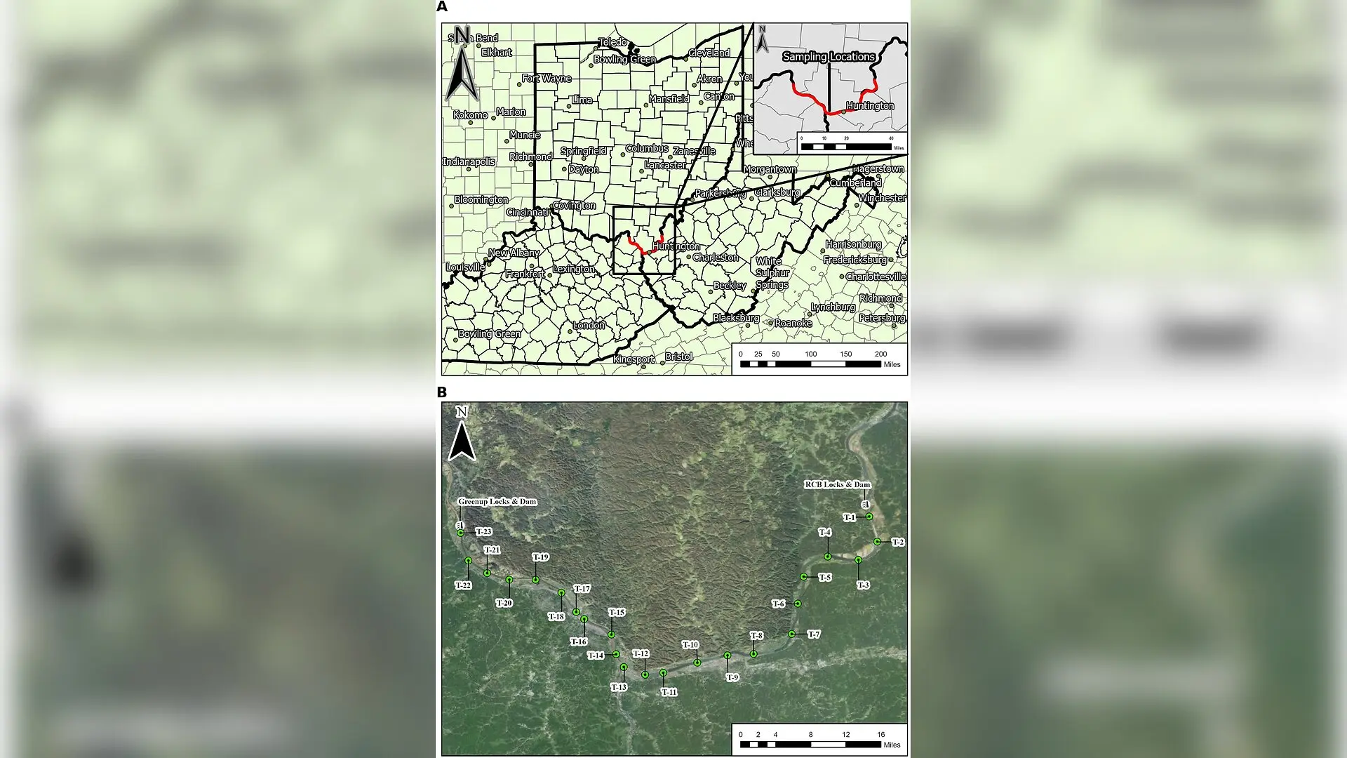 Hidden Factors Drive Algal Shifts in the Ohio River