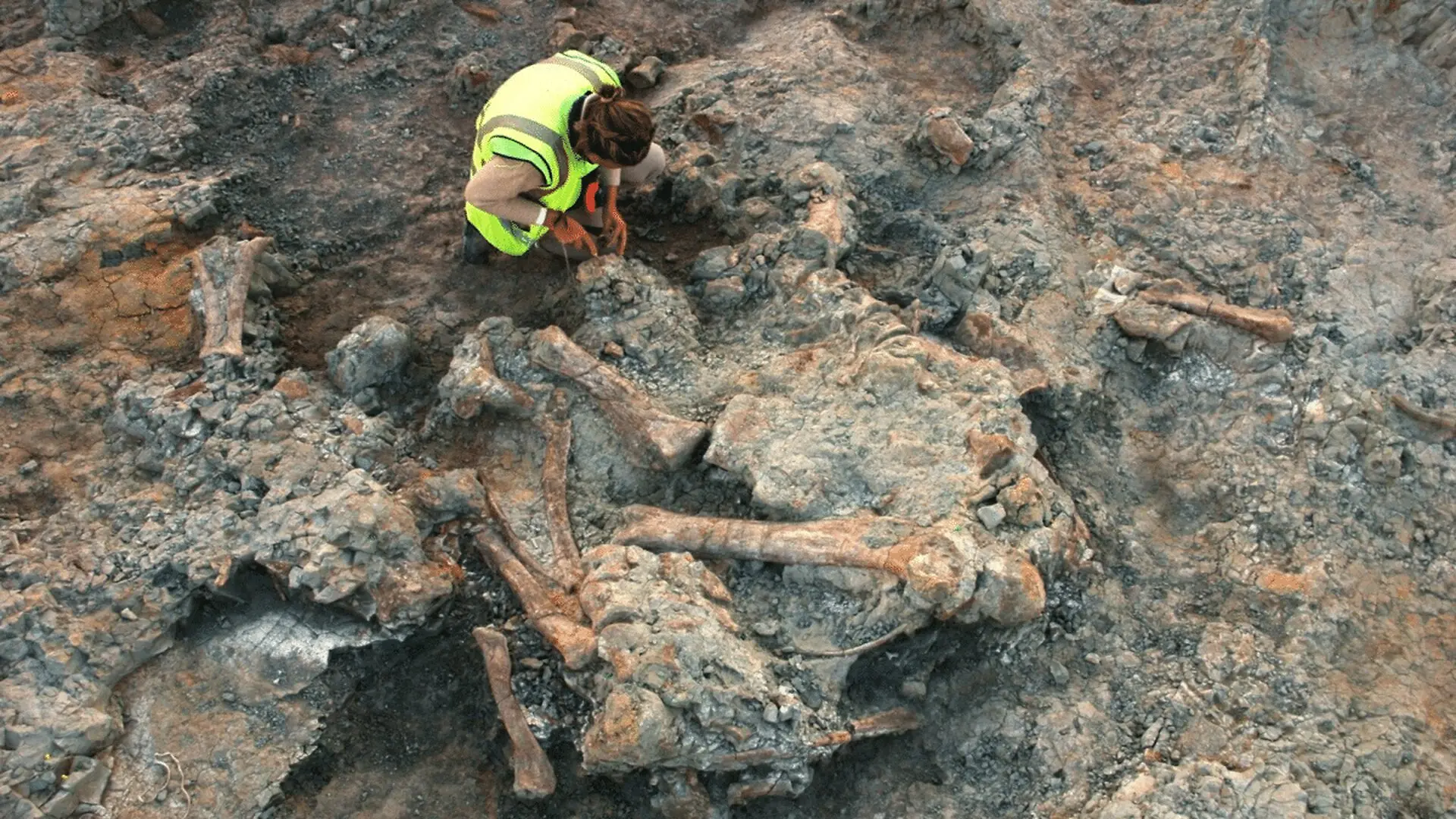 Tiny Holes In Dinosaur Bones Exposed A Secret That Stayed Hidden For 70 Million Years Scaled