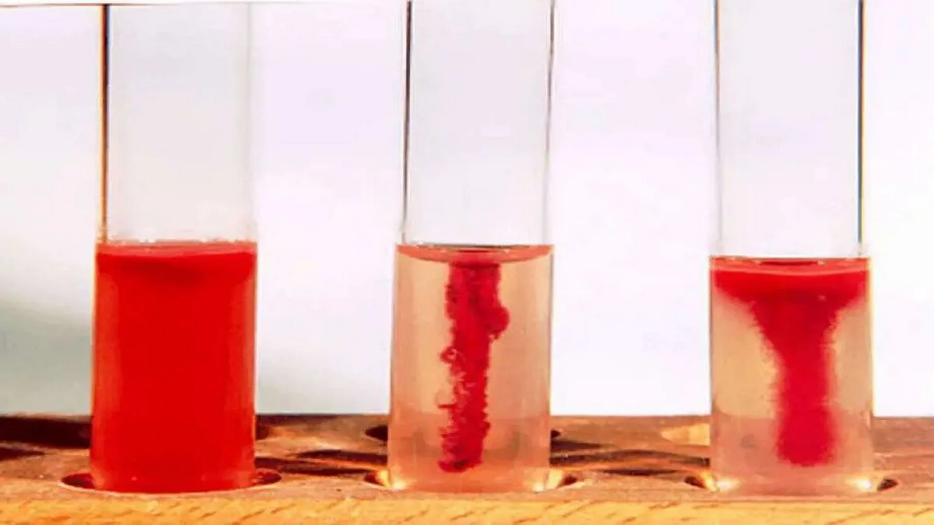 Test for Bacterial Motility: Center (Non-motile); Corners (Motile)