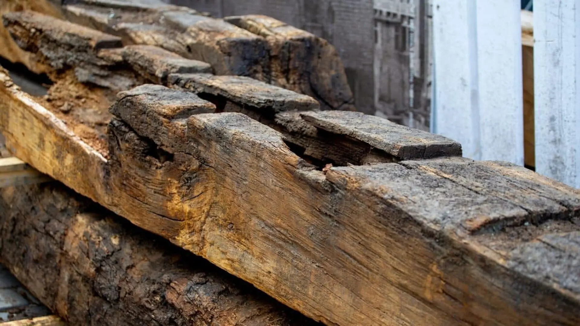 Archaeologists Opened An 800 Year Old German Cellar Ceiling That Was Secretly A Complete Medieval Ships Hull All Along Scaled