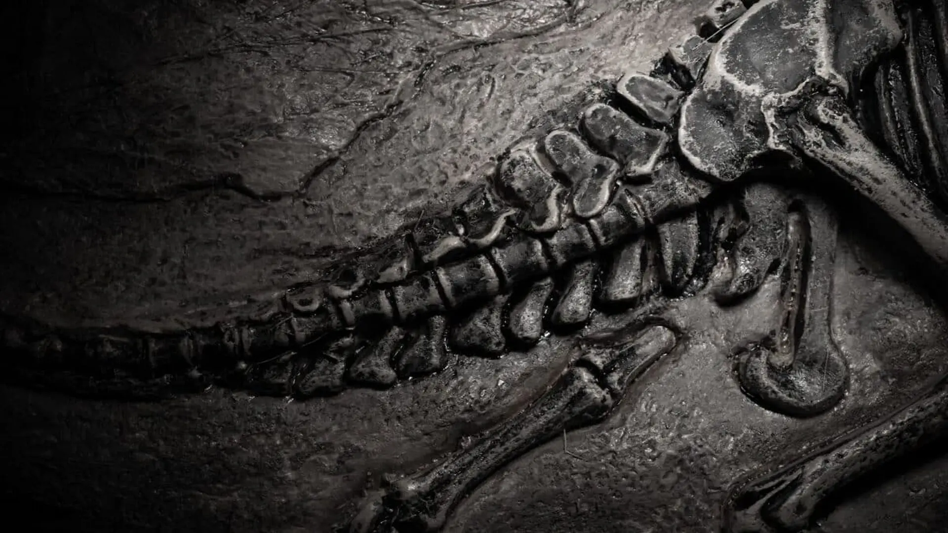 This 190 Million Year Old Dinosaur Was Surprisingly Small And Scientists Found It Used Its Tail In A Way They Never Expected Scaled