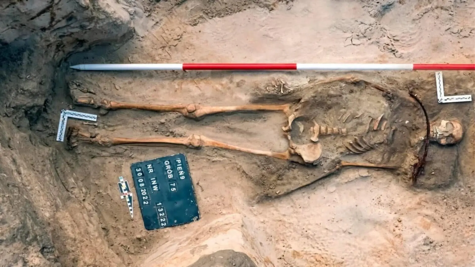 A Female Vampire Skeleton Was Unearthed In Poland Scaled