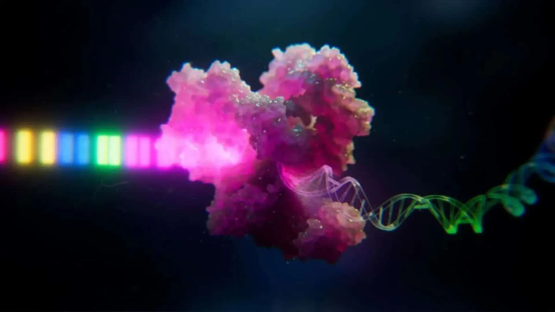 Artists Concept Demonstrating The Use Of Light To Direct The Synthesis Of Dna And Rna Directly Within Living Cells Scaled