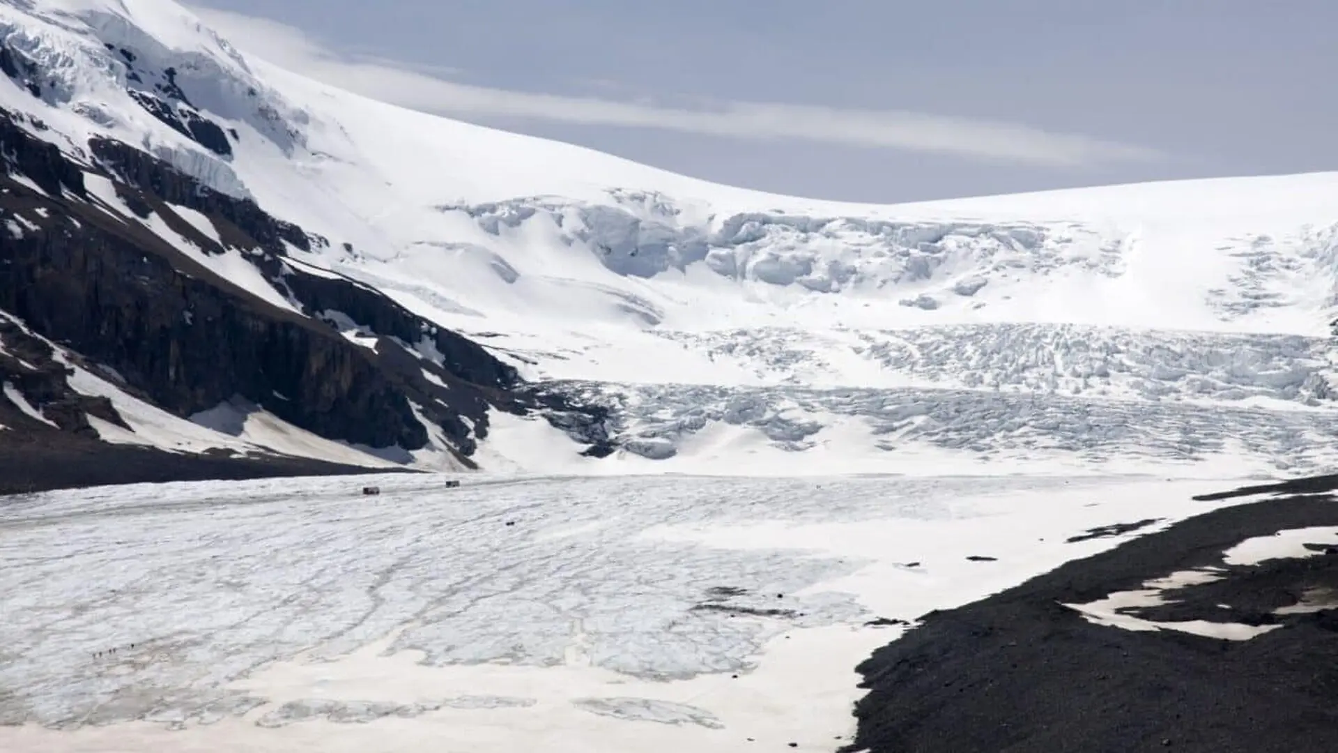 Scientists Tracked These Strange Arctic Icebergs For Months What They Found On The Seafloor Was Something No One Expected Scaled