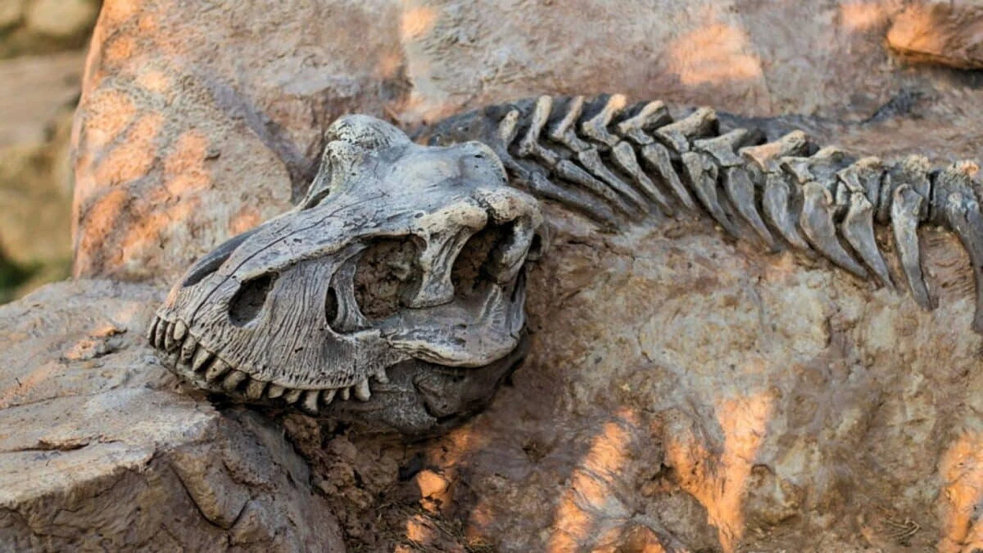 Some Dinosaurs May Not Have Roared At All Scaled
