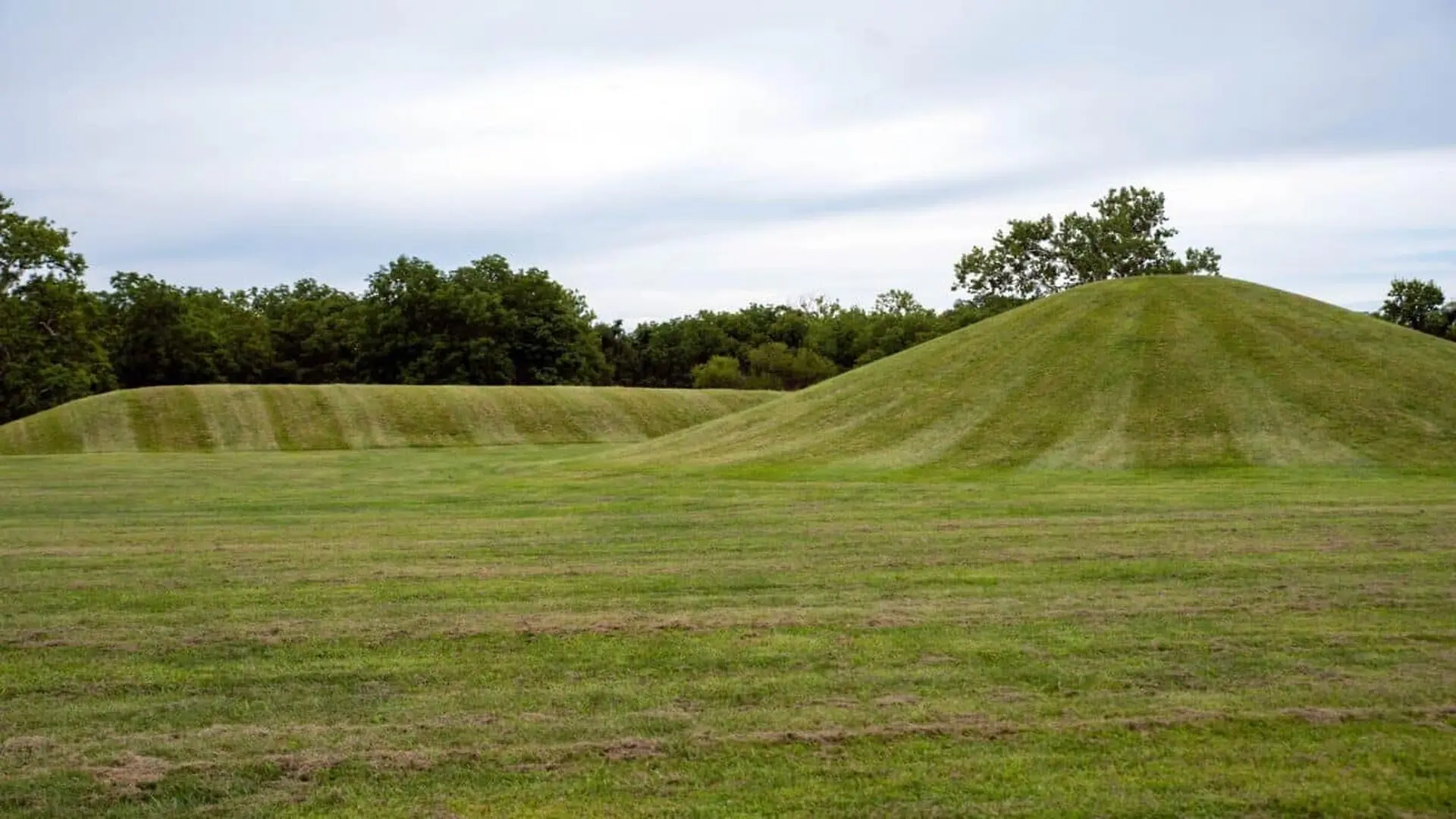 The Worlds Oldest Monument Was Not In Egypt It Was Hidden In An American Swamp For More Than Years Scaled